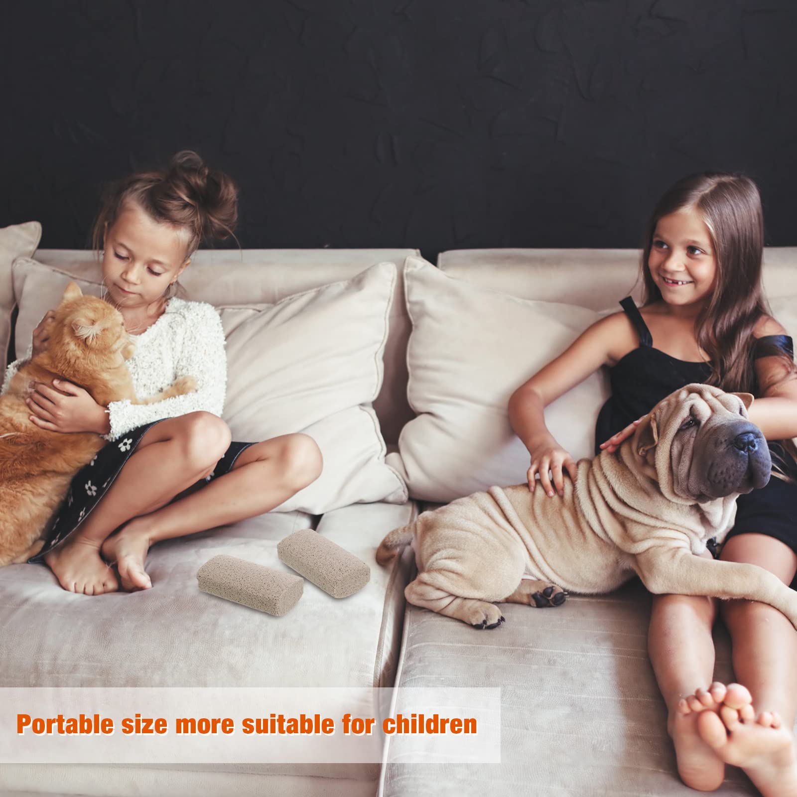 2 Pieces Pet Hair Remover For Cat Hair Removal Pumice Stone Tool Carpet Dog Fur Removal Tool For Car Couch Furniture Bedding Easy To Clean (4 Inches)