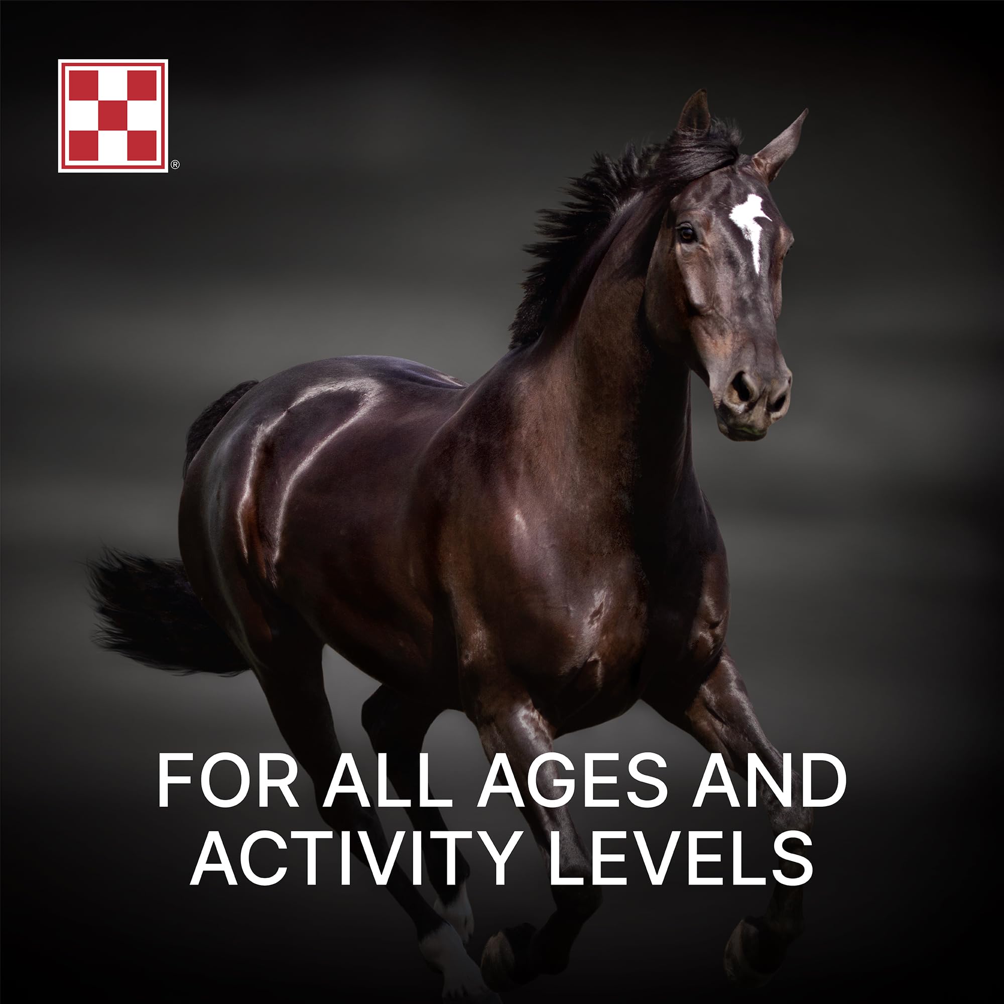 Purina, Amplify Equine, High-Fat Horse Supplement for Maintenance, Breeding, & Performance Horses, 50 lbs