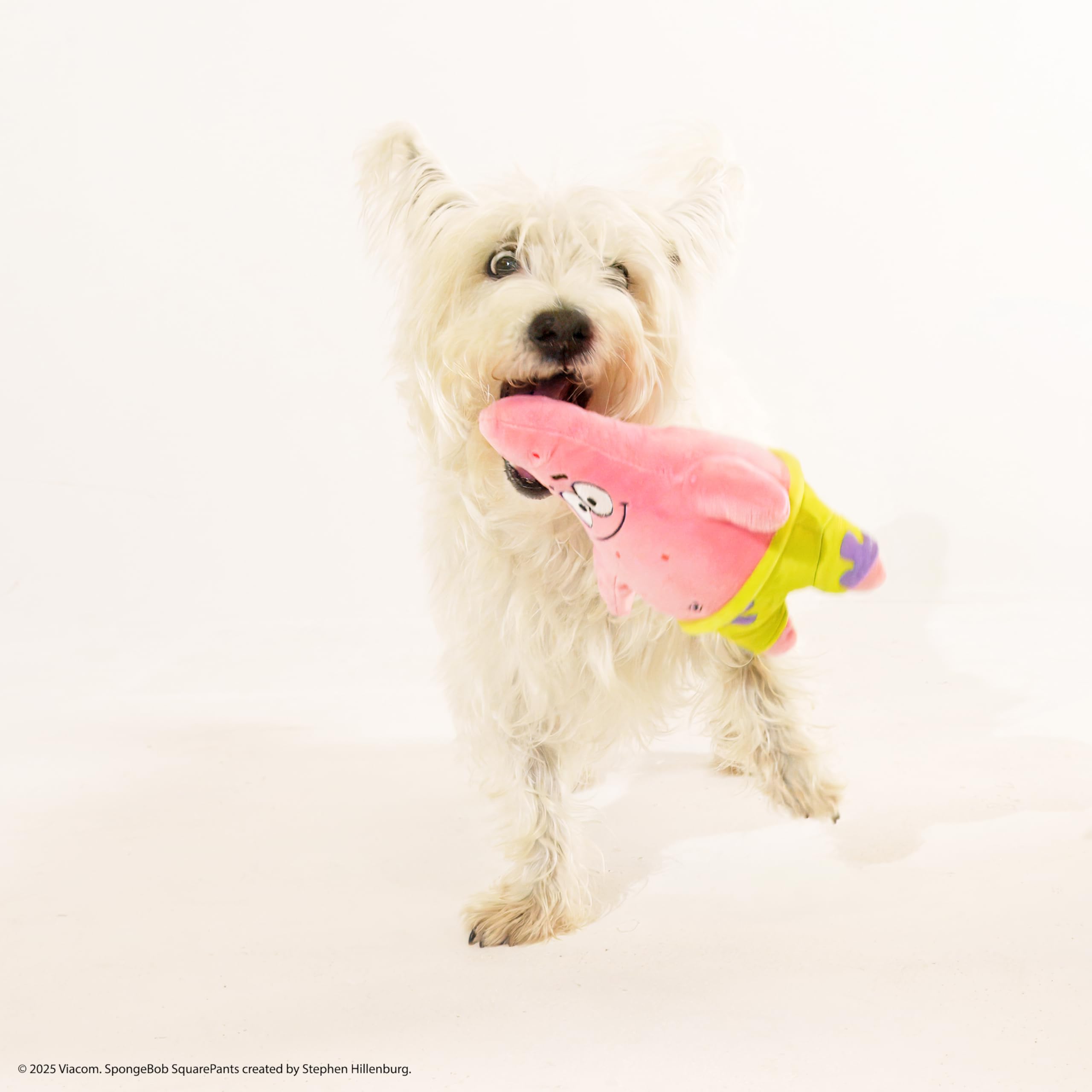 Design Lab, Inc. Spongebob Squarepants Official Merchandise | Squeaky Plush Toys For Dogs | 2-Pack Patrick Starfish And Life Pre