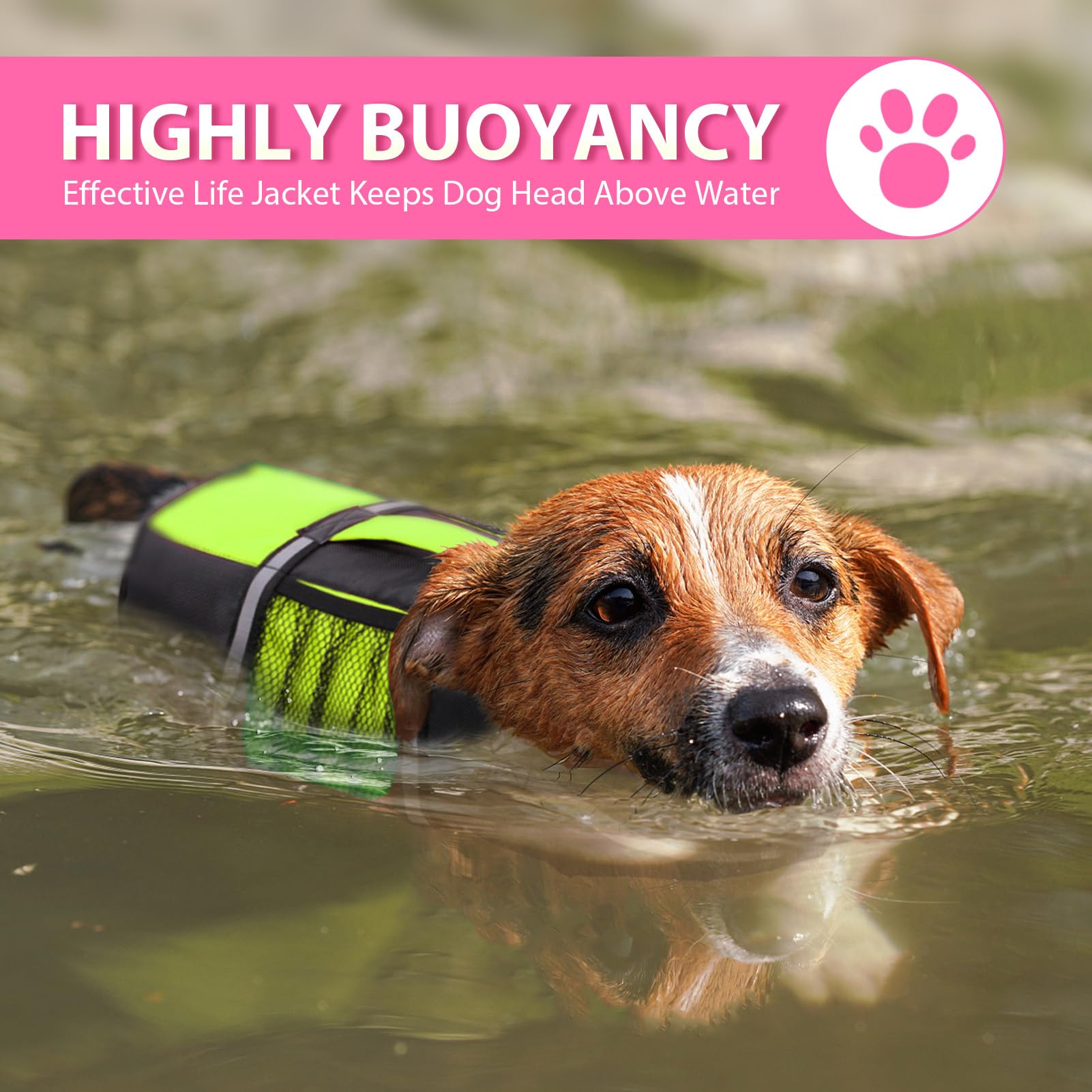 Queenmore Dog Life Jacket Lifesaver Preserver High Buoyancy With Emergency Grab Handle For Small & Medium Dogs Green, Medium