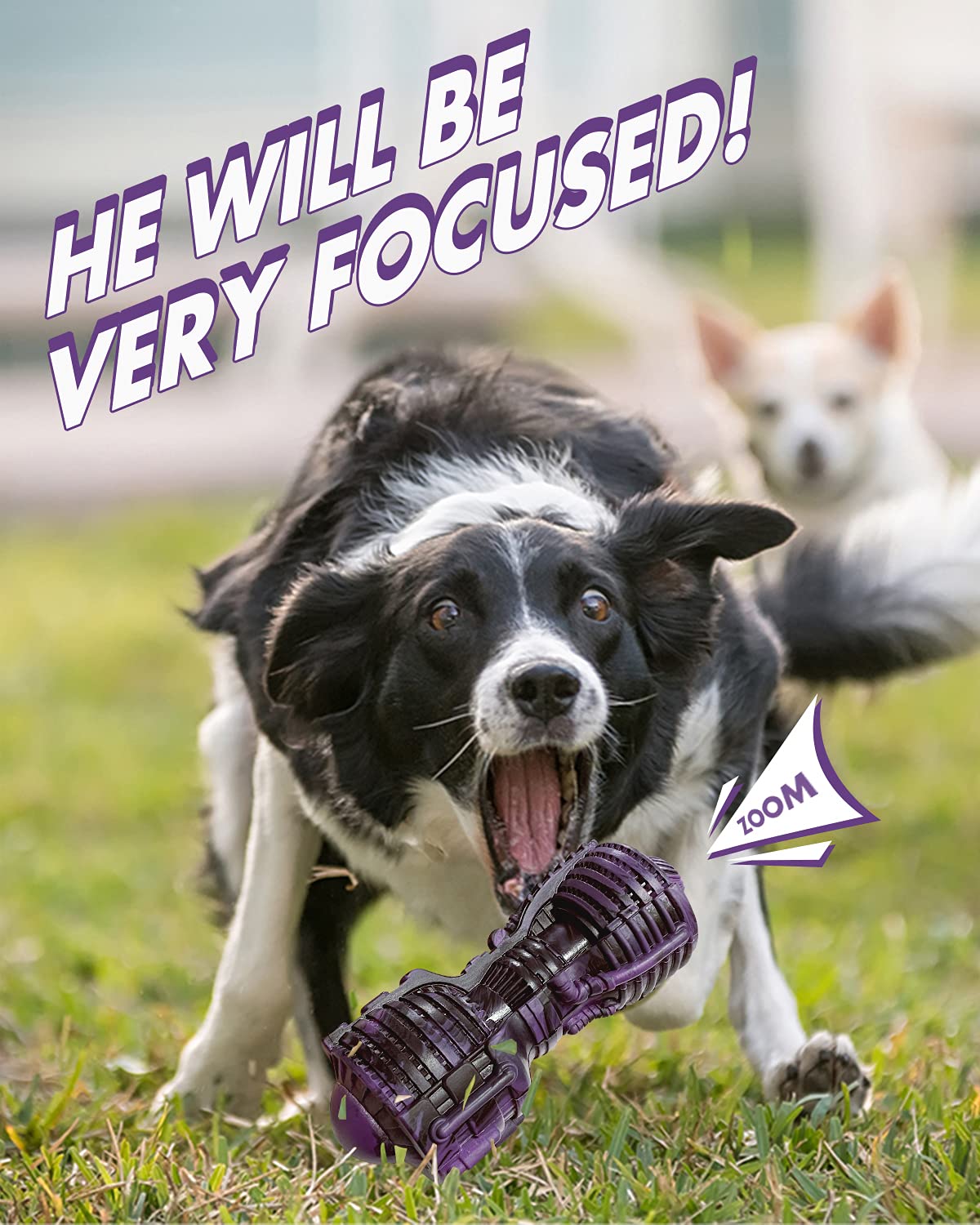 Fifthquarter Squeaky Dog Toys: Almost Indestructible Dog Toys For Aggressive Chewers Natural Rubber Tough And Durable Puppy Chew