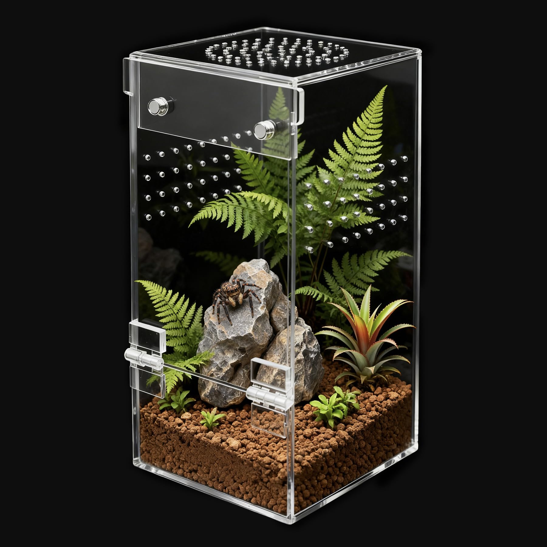 Clioran Jumping Spider Enclosure,Escape Proof Reptile Tank,Transparent Acrylic Complete Bug Habitat,Praying Mantis Terrariums,Ar