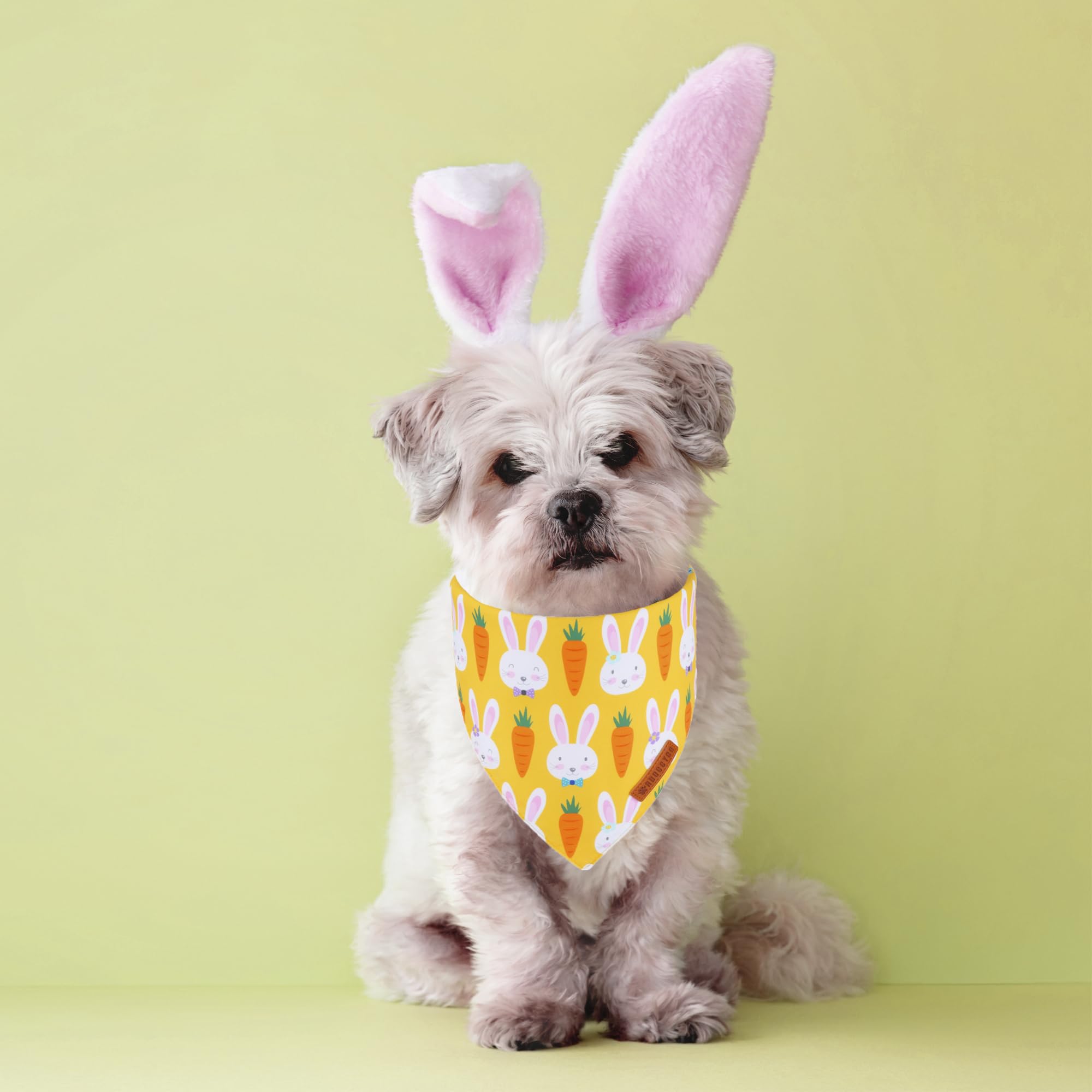 Adoggygo Easter Dog Bandana, Egg Rabbit Carrot Pet Scarf, Premium Durable Fabric, White Orange Easter Bandanas For Small Dogs Pe