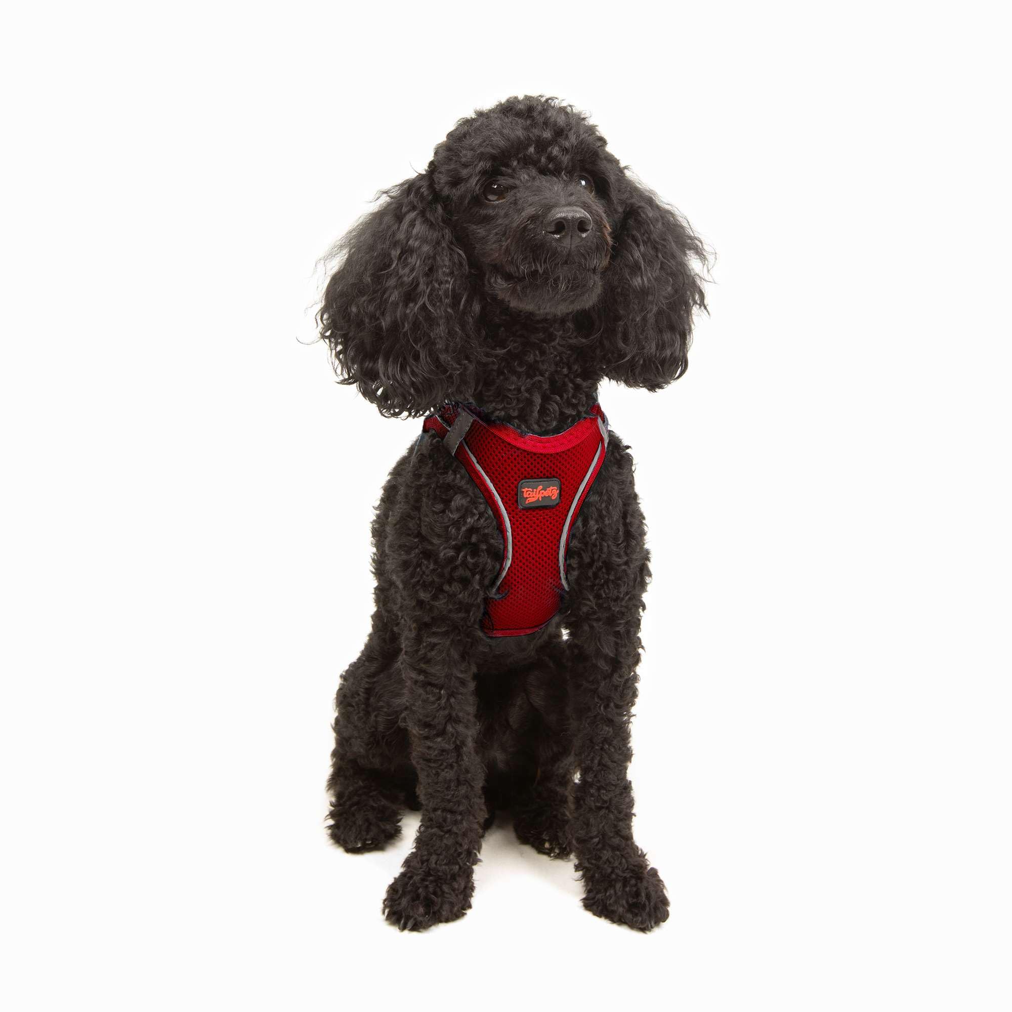 Tailpetz Xs Dog Harness Red, Adjustable Step in No Pull Dog Harness Small Sized Dog, Reflective Puppy Harness for Puppy Training