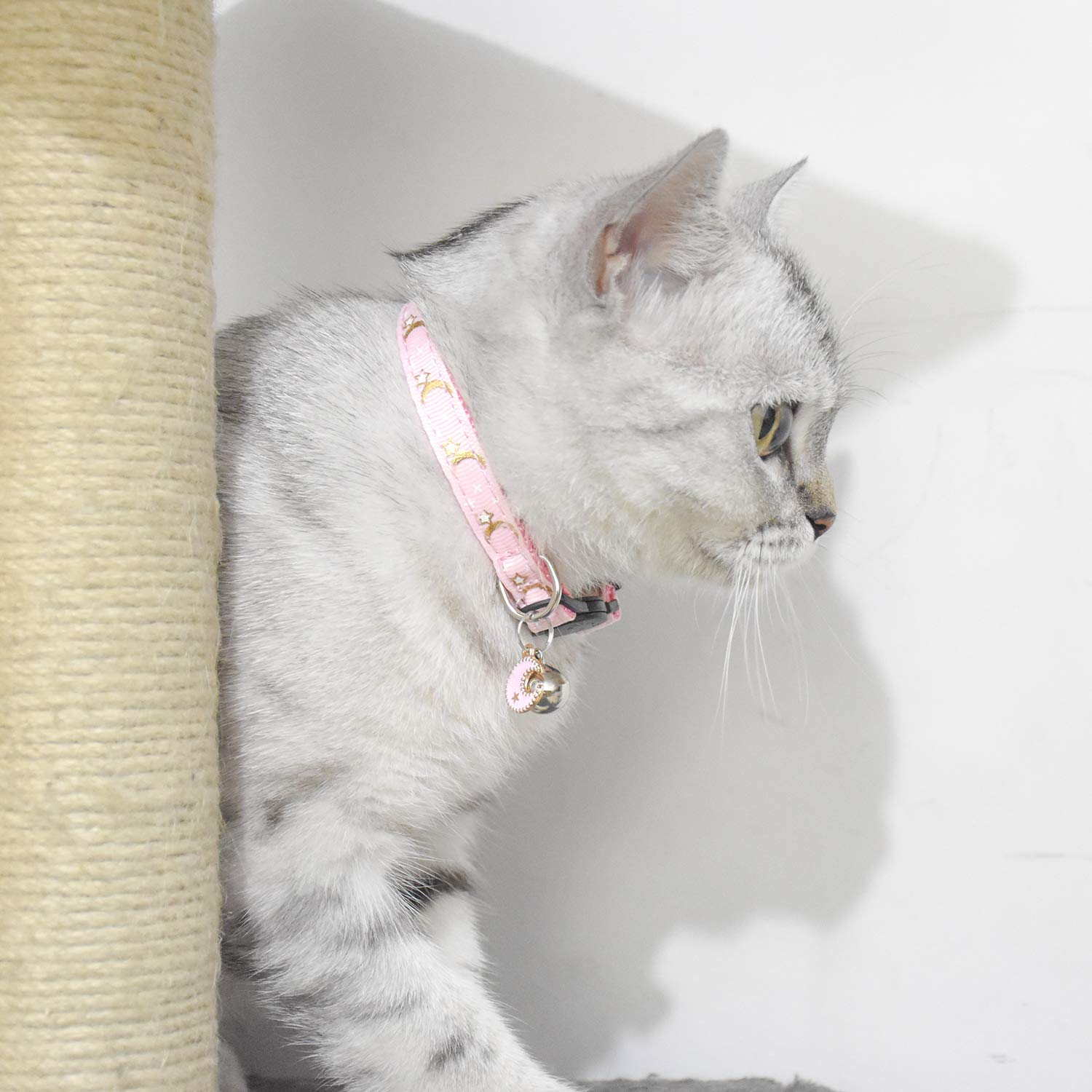 2 Pcs Breakaway Cat Collar With Bell, Cute Adjustable Kitten Collars With Accessories (Red Pink)