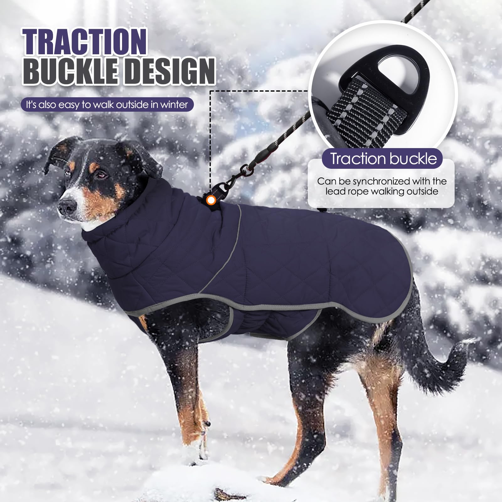 Pinellia Dog Winter Coat, Waterproof & Windproof, Reflective, Blue, S, M, L