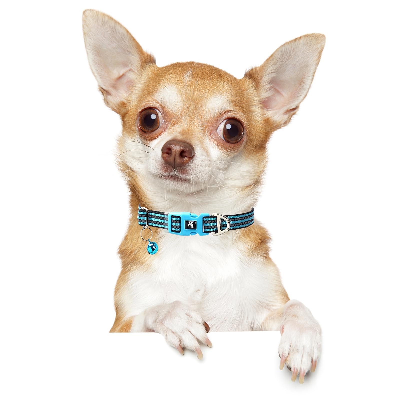 Onefojojo Reflective Dog Collar With Bell - Hypoallergenic Adjustable Nylon Puppy Collar For Night Safety, Soft Comfort Fit Smal