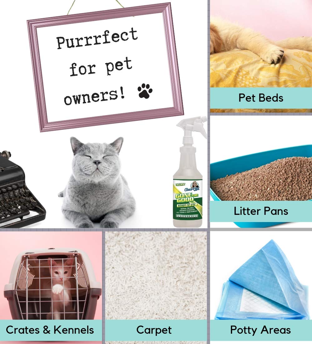 Chem-Girl - Gone For Good - Professional Odor, Stain, Urine Remover - Good For Dog & Cat Spot Cleaning, Carpets, Rug, Pet Beds, Other Household Uses - All Natural, Pet & Family Safe - 1 Quart