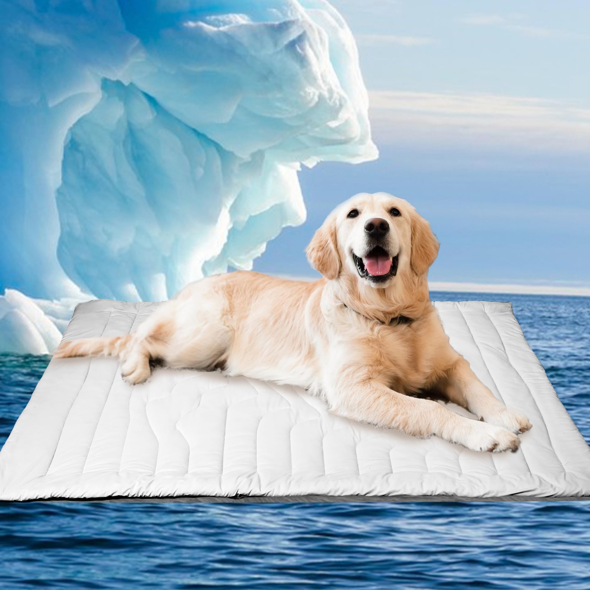 Homcolorful Cooling Mat For Large Dogs Q-Max>0.4, 48 X 28 Thin Non-Gel Pet Cooling Pad, Washable Self-Chill Mat, Non-Slip & 