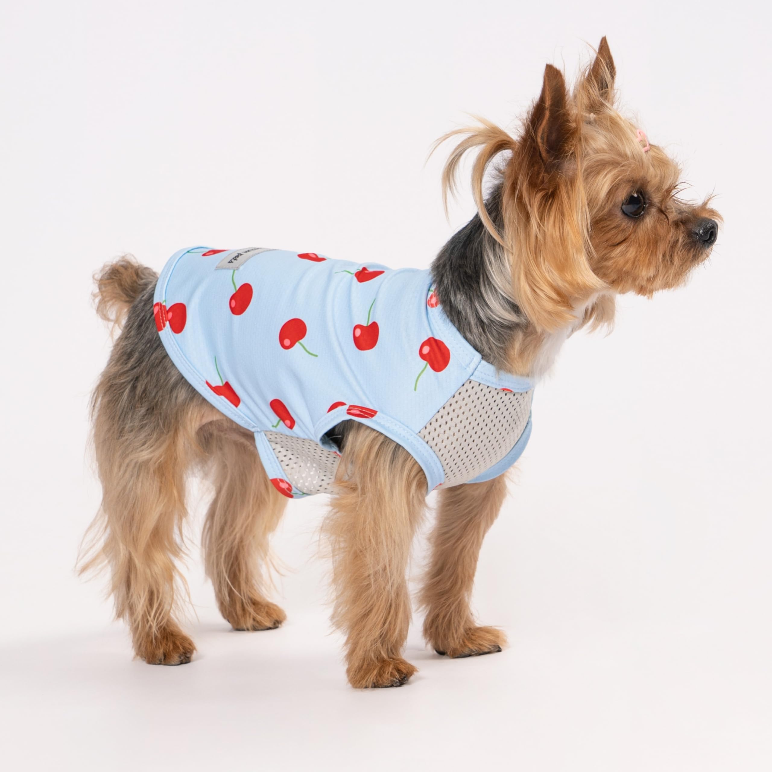 Fitwarm 2 Pack Ice Cream & Cherry Upf 50+ Uv Sun Protection Dog Shirt, Lightweight Cooling Vest, Quick Dry Summer Clothes For Sm