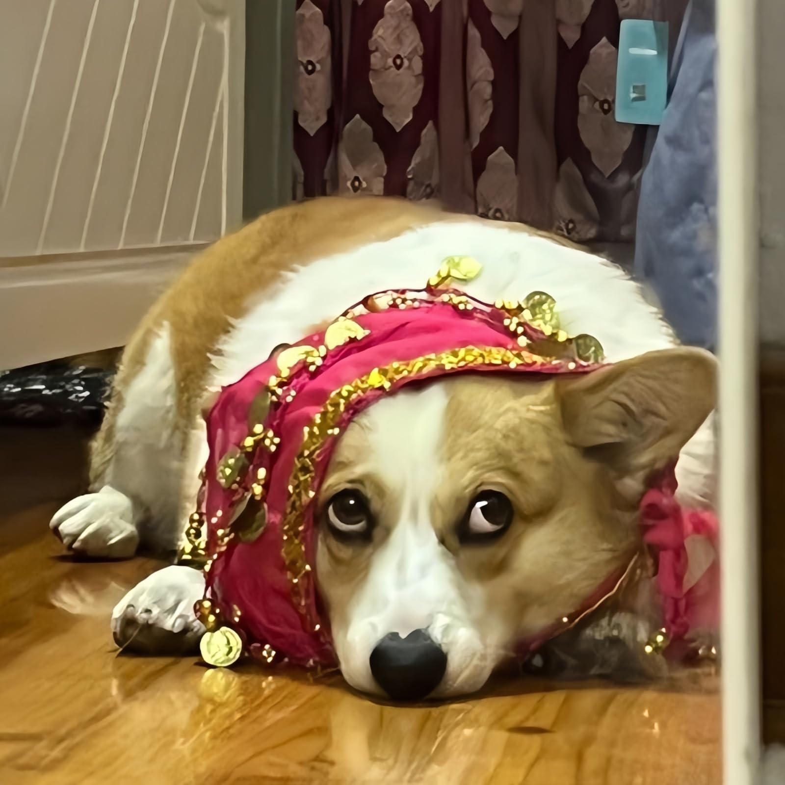 Chowone Dogs Belly Dancer Skirt, Waist Chain Hip Curtain Clothes For Corgi Dog Belly Dance Style With Sequin, Puppy Hip Shaking