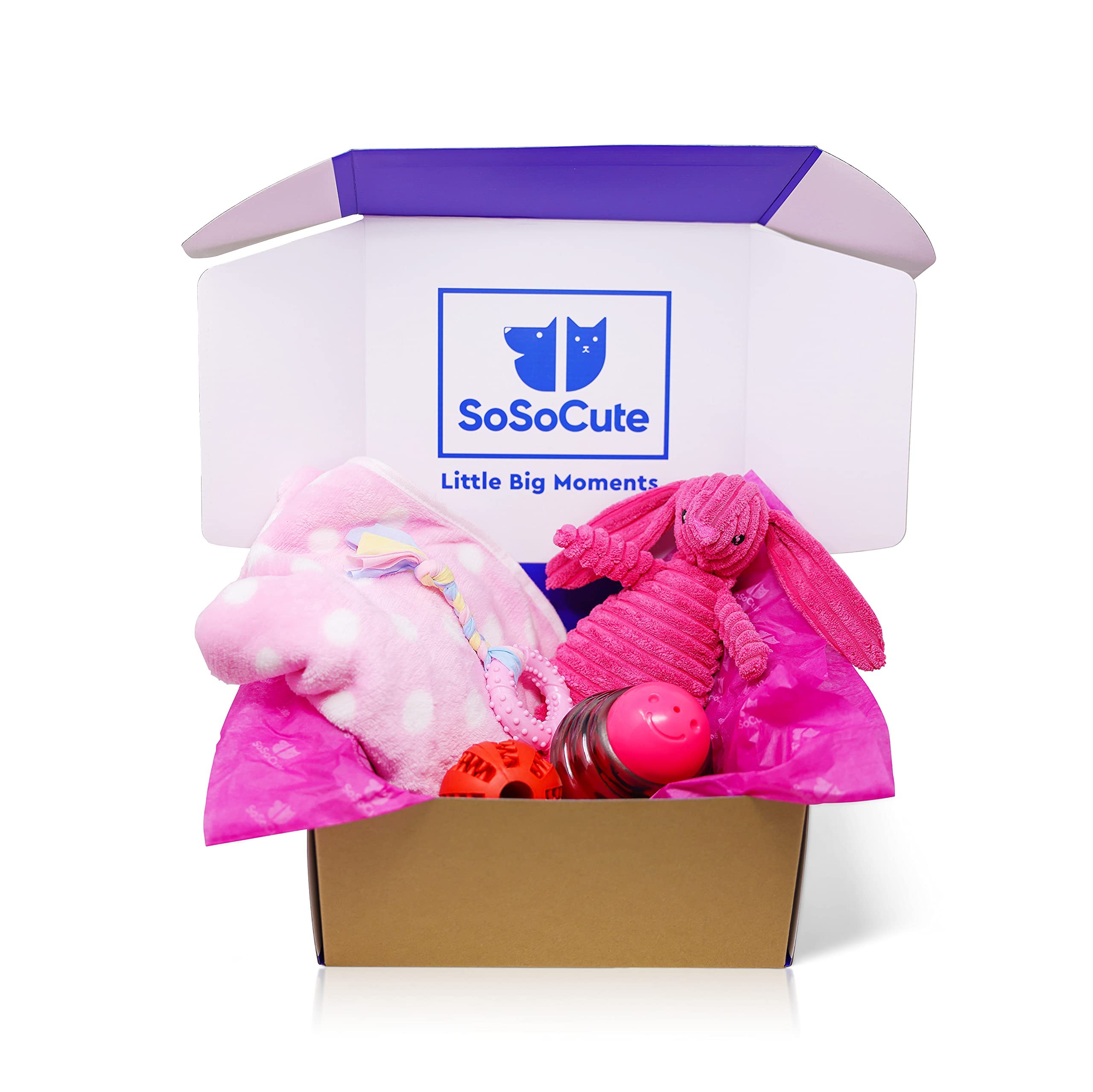 SoSoCute Blue Dog Gift Box - Puppy Chew Toy Set of 5 - Puppy Care Package with Dog Blanket, Squeaky Plush, Rubber Puppy Teether,