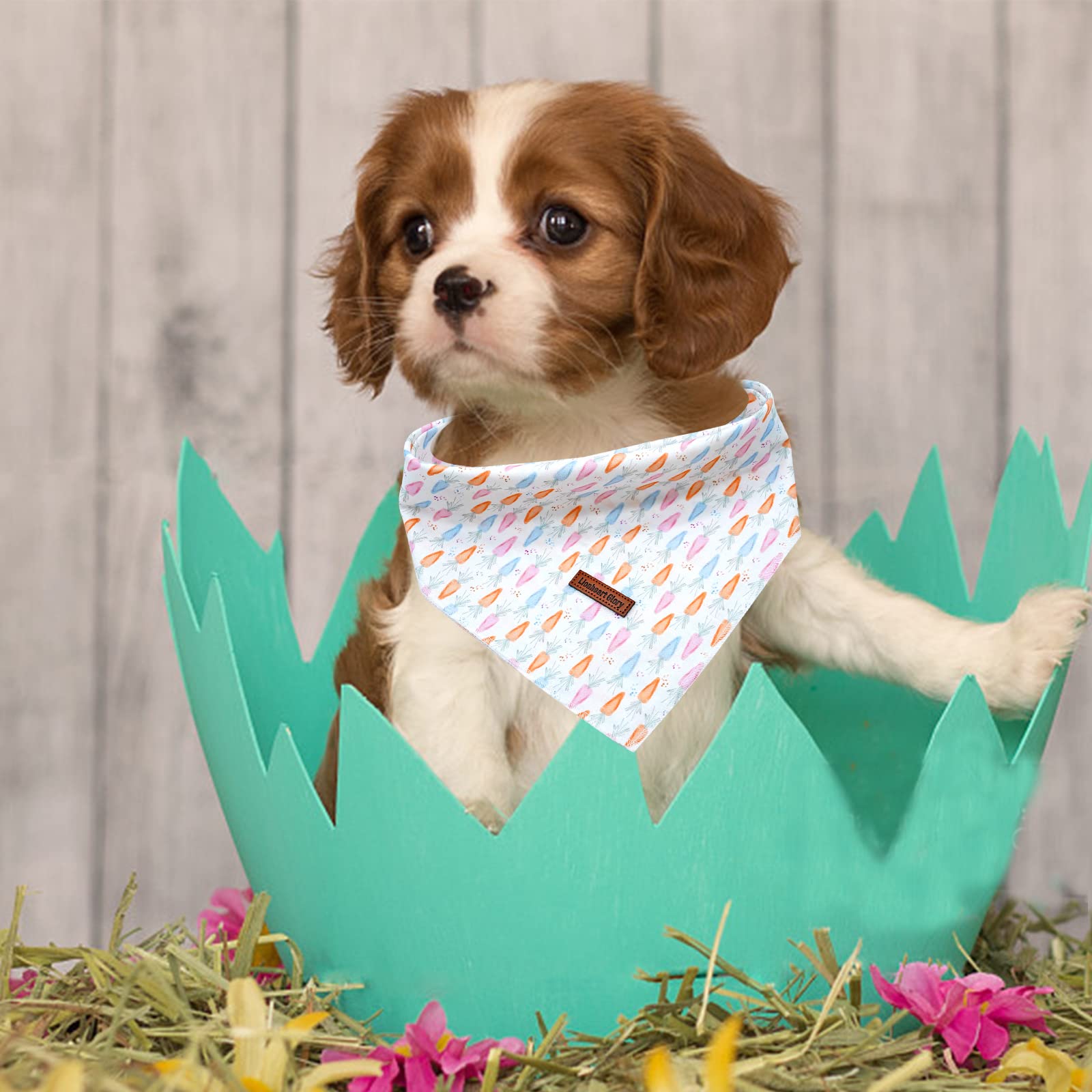 Lionheart Glory Easter Bandana 1 Pack Washable Soft Scarf, Square Adjustable For Medium Large Dogs