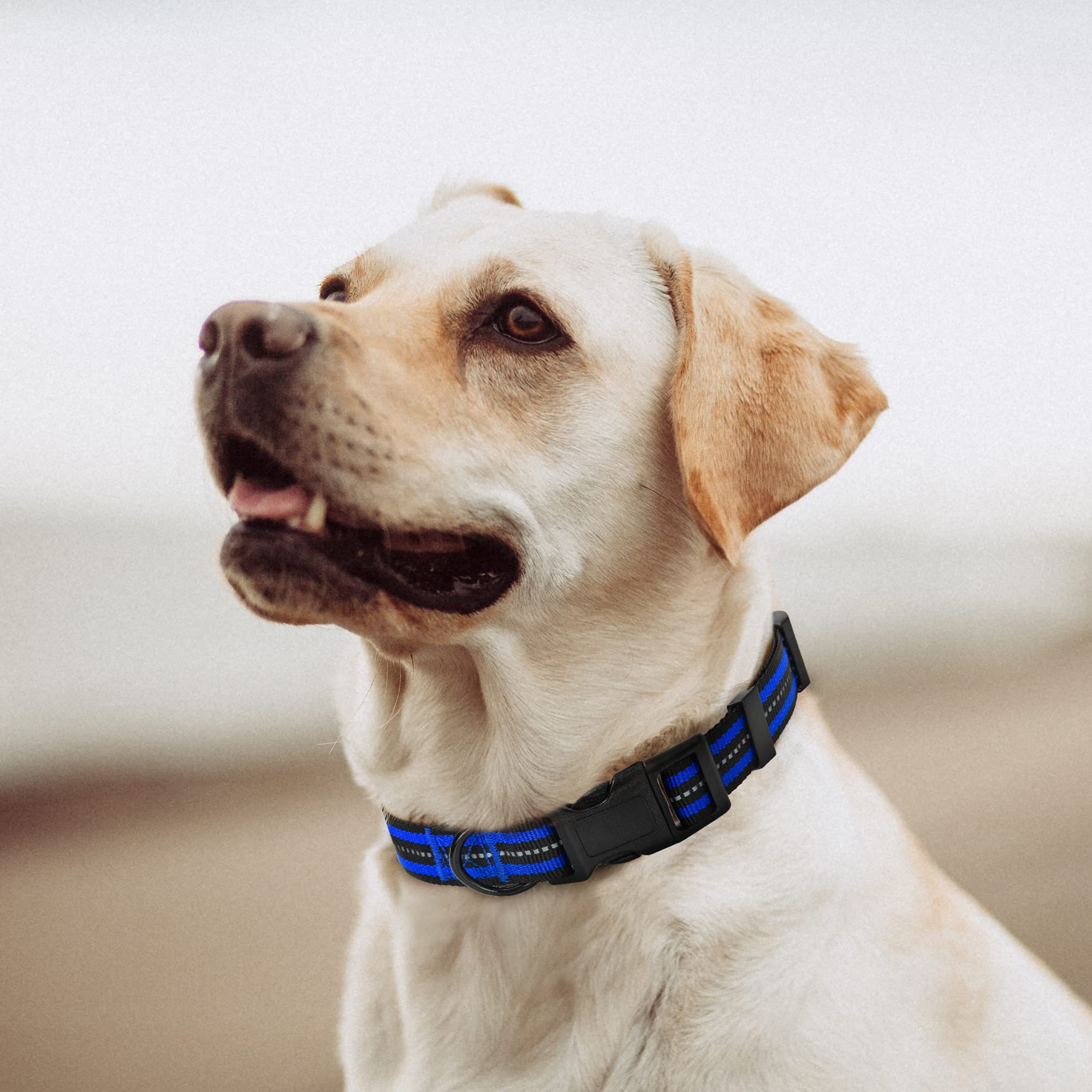Mile High Life Reflective Dog Collar | Nylon Pet Collars Wiith Buckle | Light Weight Puppy Collars | Blue Dog Collars For Large