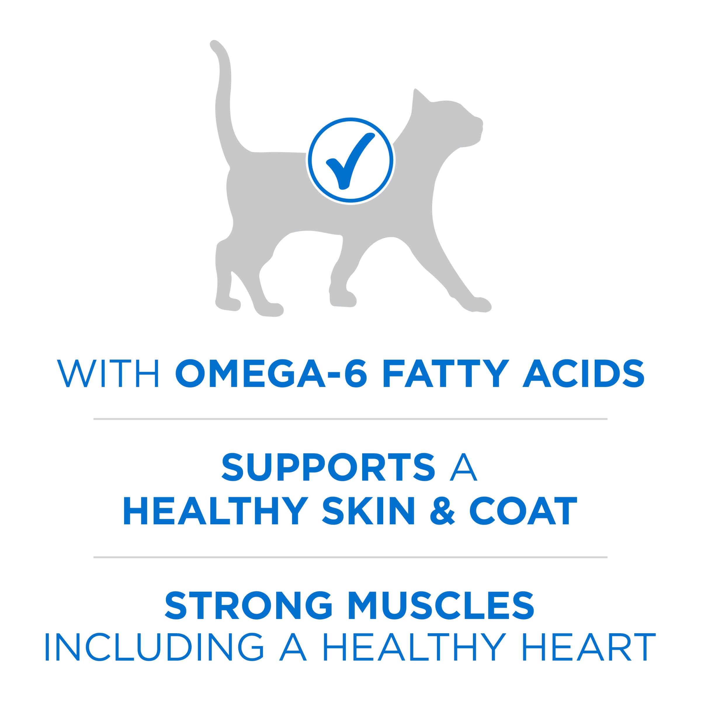Purina ONE Plus High Protein Cat Food Dry Salmon and Ocean Whitefish Cat Skin and Coat Health Formula - 22 lb. Bag