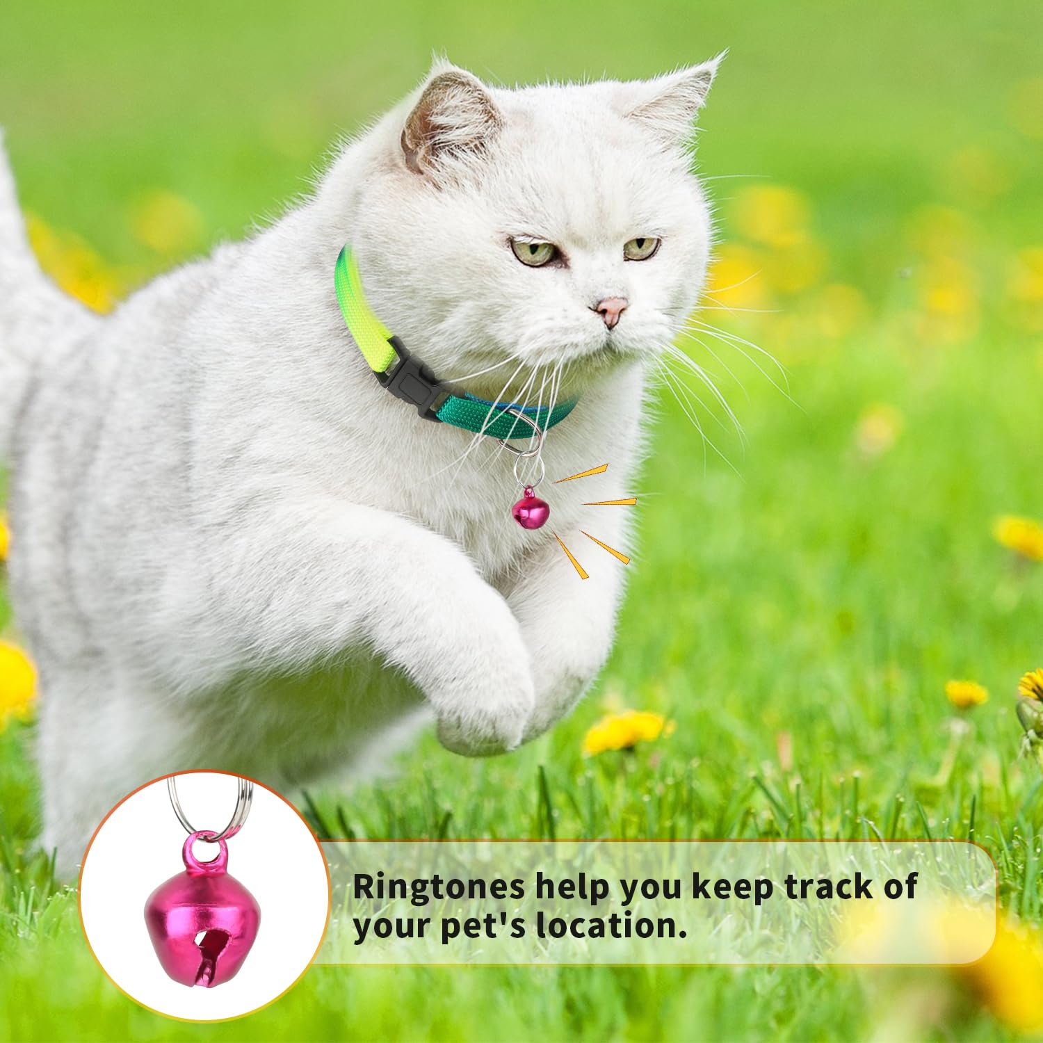 Hypeety Personalized Rainbow Embroidered Kitten Cat Collar With Bell For Girl Boy Pet Cats And Puppy, Safety Buckle Kitten Colla