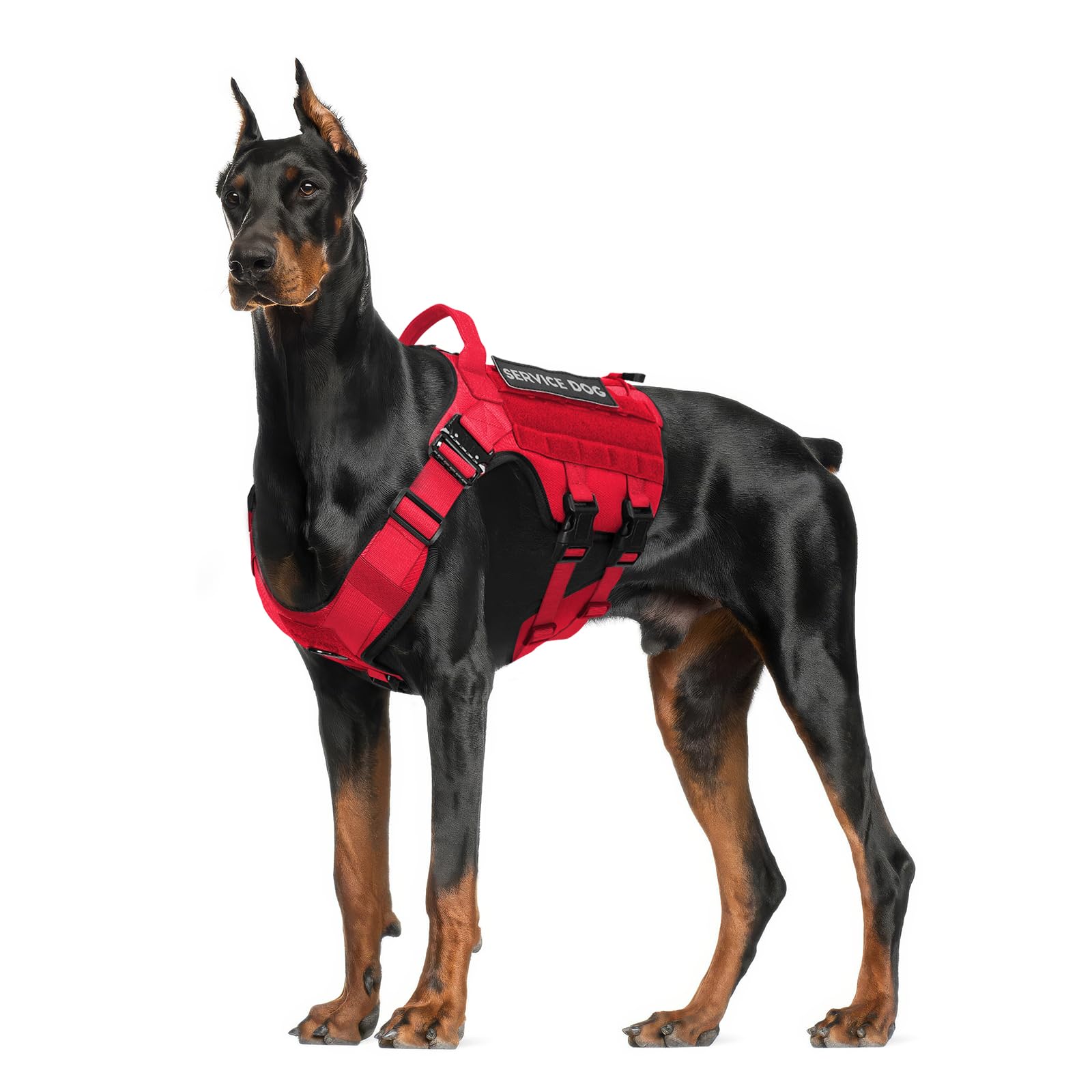 Petnanny Tactical Dog Harness - Service Dog Harness Emotional Support For Medium Large Dogs, No Pull Esa With Hook & Loop, Worki