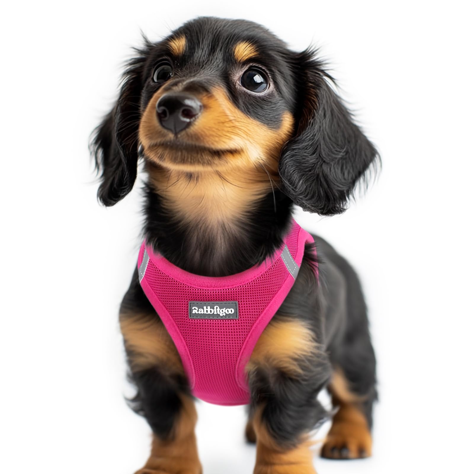 Rabbitgoo Small Dog Harness, Step-In Soft Mesh Puppy Vest, Easy Walk With Safety Buckle, Breathable Reflective Pet Harness For E