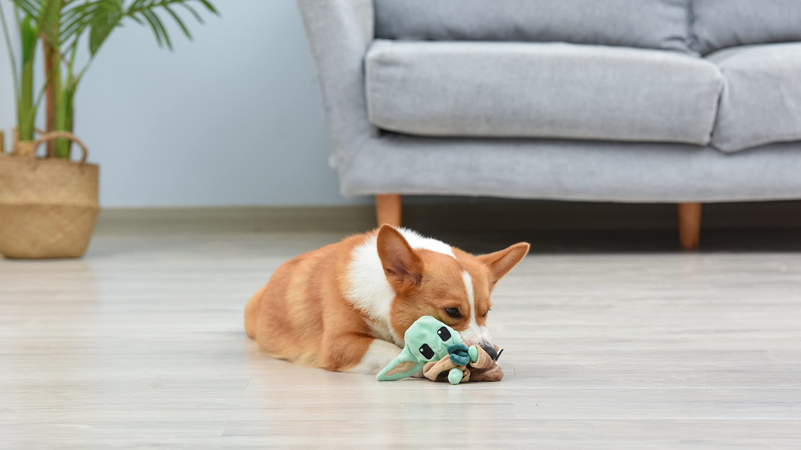 Star Wars For Pets The Mandalorian The Child With Cookie Flattie Figure Squeak Toy | Flattie Dog Toy With Crinkle And Squeak | S