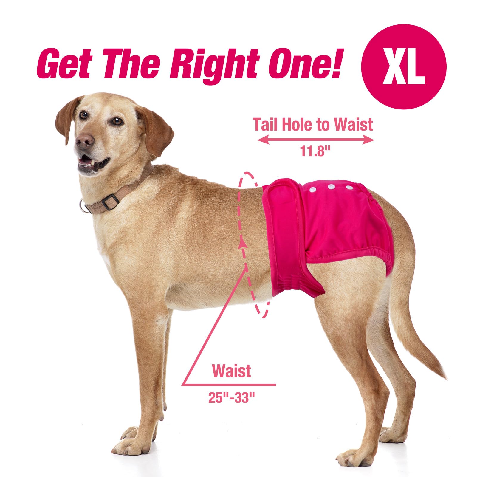 Pet Soft Washable Female Diapers (3 Pack) Female Dog Diapers, Comfort Reusable Doggy Diapers For Girl Dog In Period Heat (Classy