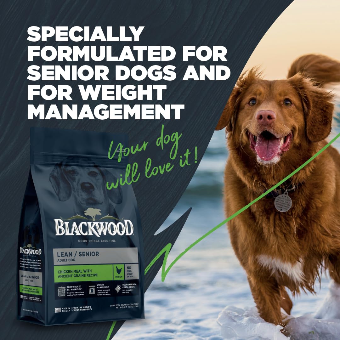 Blackwood Lean/Senior Dry Dog Food, Chicken Meal with Ancient Grains, 24 Pound Bag for Weight Management and Muscle Mass Mainten