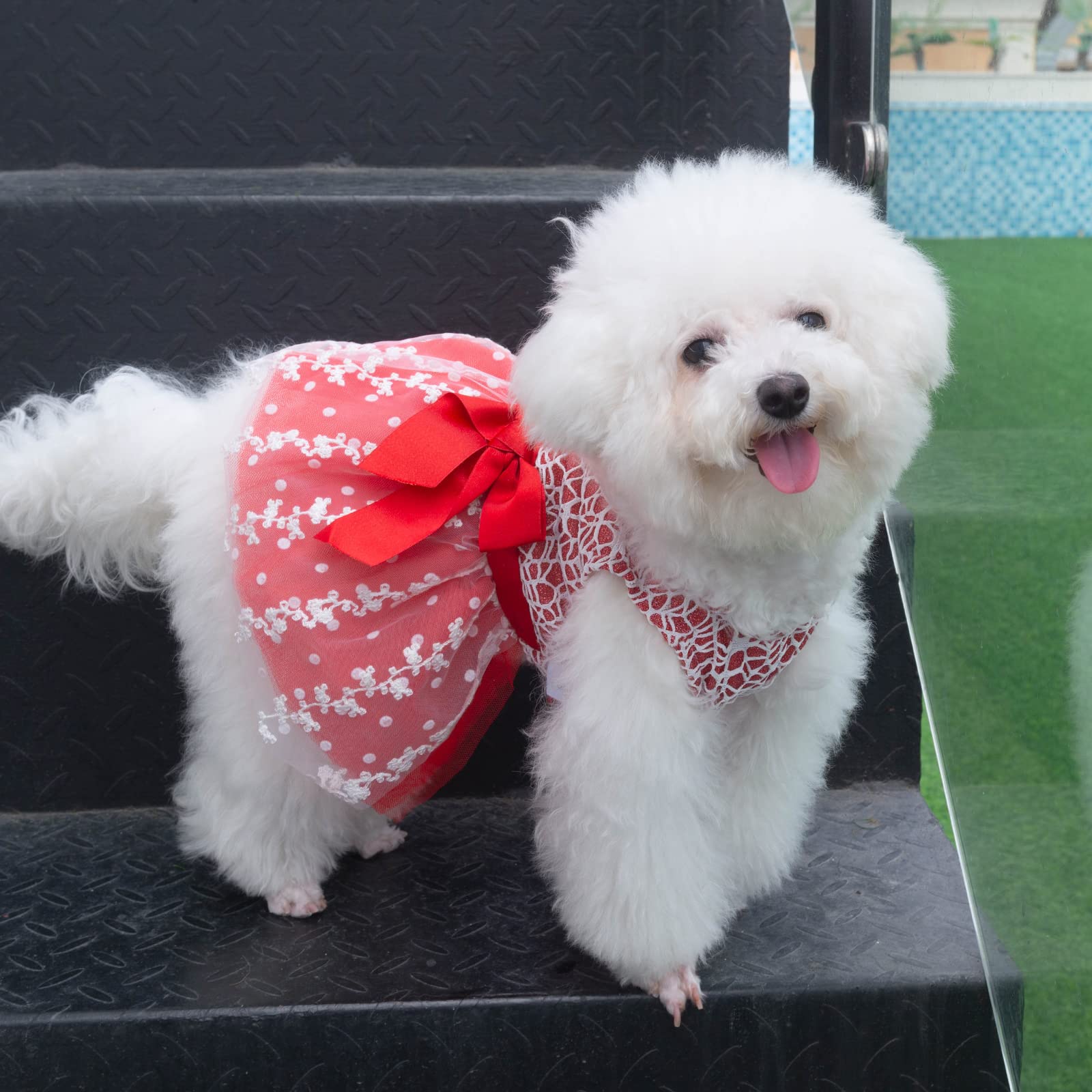 Cutebone Red Dog Dress Outfit Puppy Skirt Shining Embroiderd Tutu With Bowknot Pet Clothes Girl For Wedding Birthday Party Cat Apparel Dd09Xs