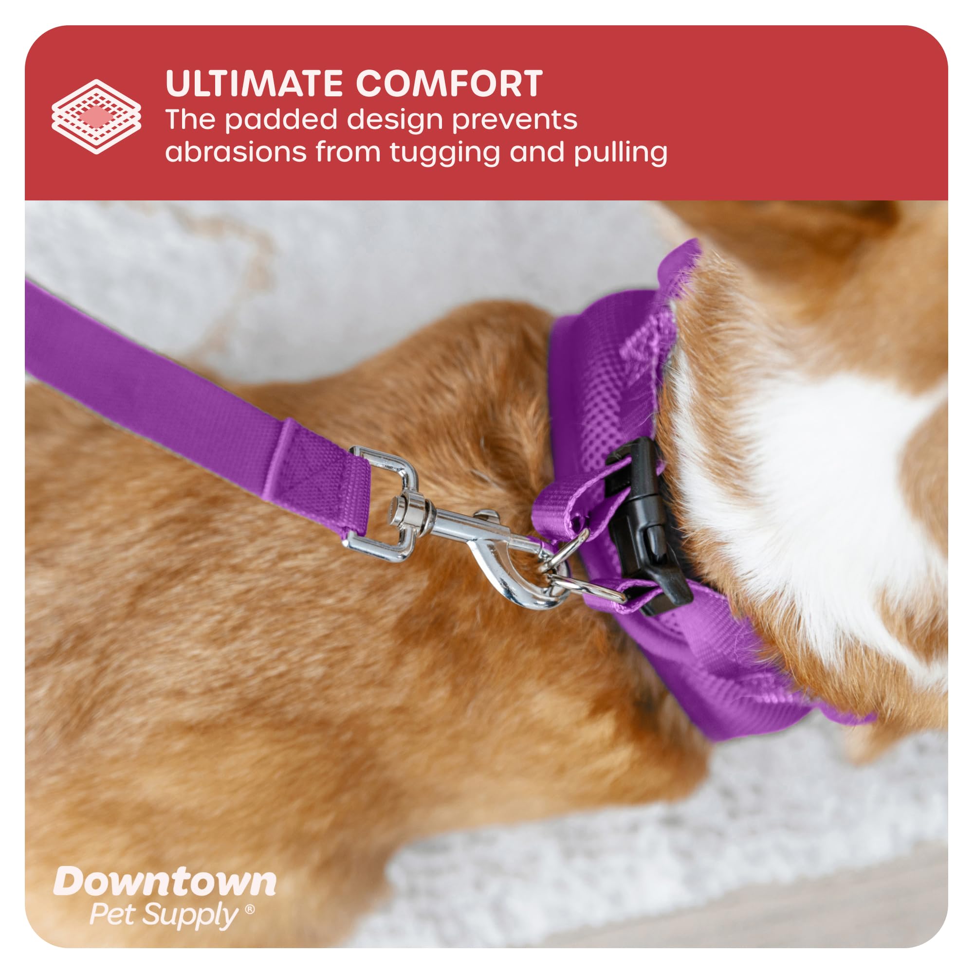 Downtown Pet Supply Step In Dog Harness For Small Dogs No Pull, Medium, Purple - Adjustable Harness With Padded Mesh Fabric And Reflective Trim - Buckle Strap Harness For Dogs