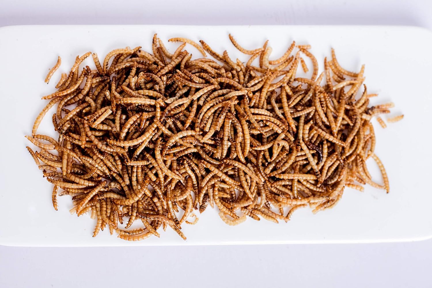 kimoe Non-GMO Bulk Dried Mealworms 10LB Bag for Chickens, Ducks & Wild Birds - 100% Natural High-Protein Feed to Boost Egg Produ