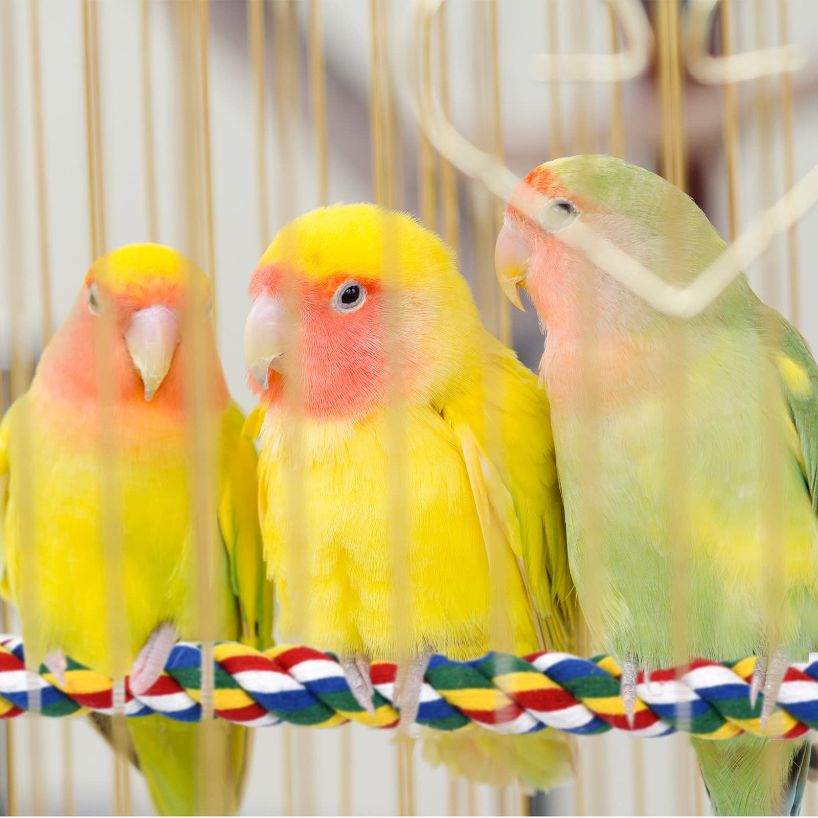 Bird Rope Perches For Parrots, Cockatiels, Parakeets, Budgie Cages Comfy Birds Colorful Rope Toy (41Inch Metal Nut)