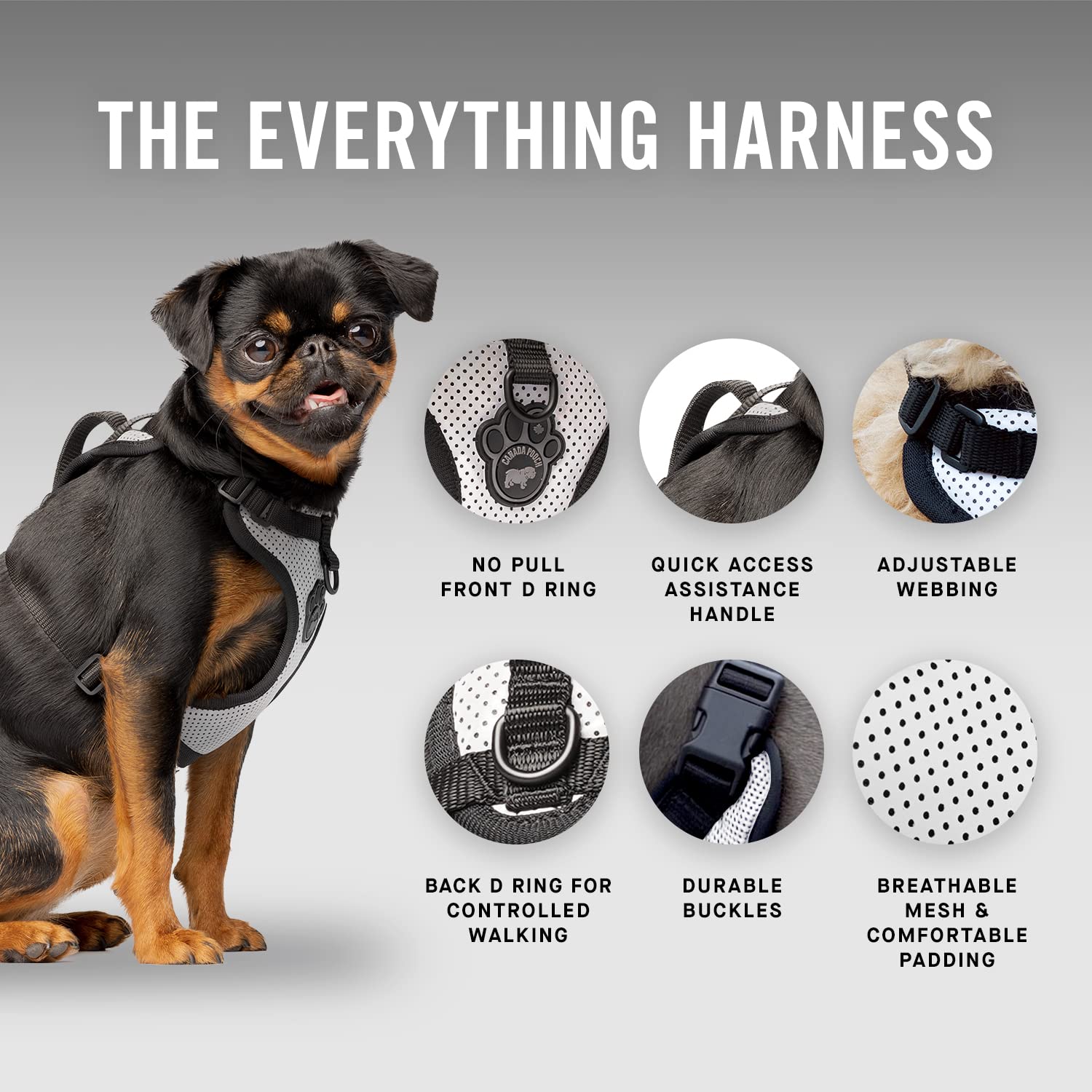 Canada Pooch Everything No Pull Dog Harness - Easy Walk Harness For Dogs With Breathable Mesh Exterior, Adjustable Dog Walking Harness Great For Dogs Reflective/S