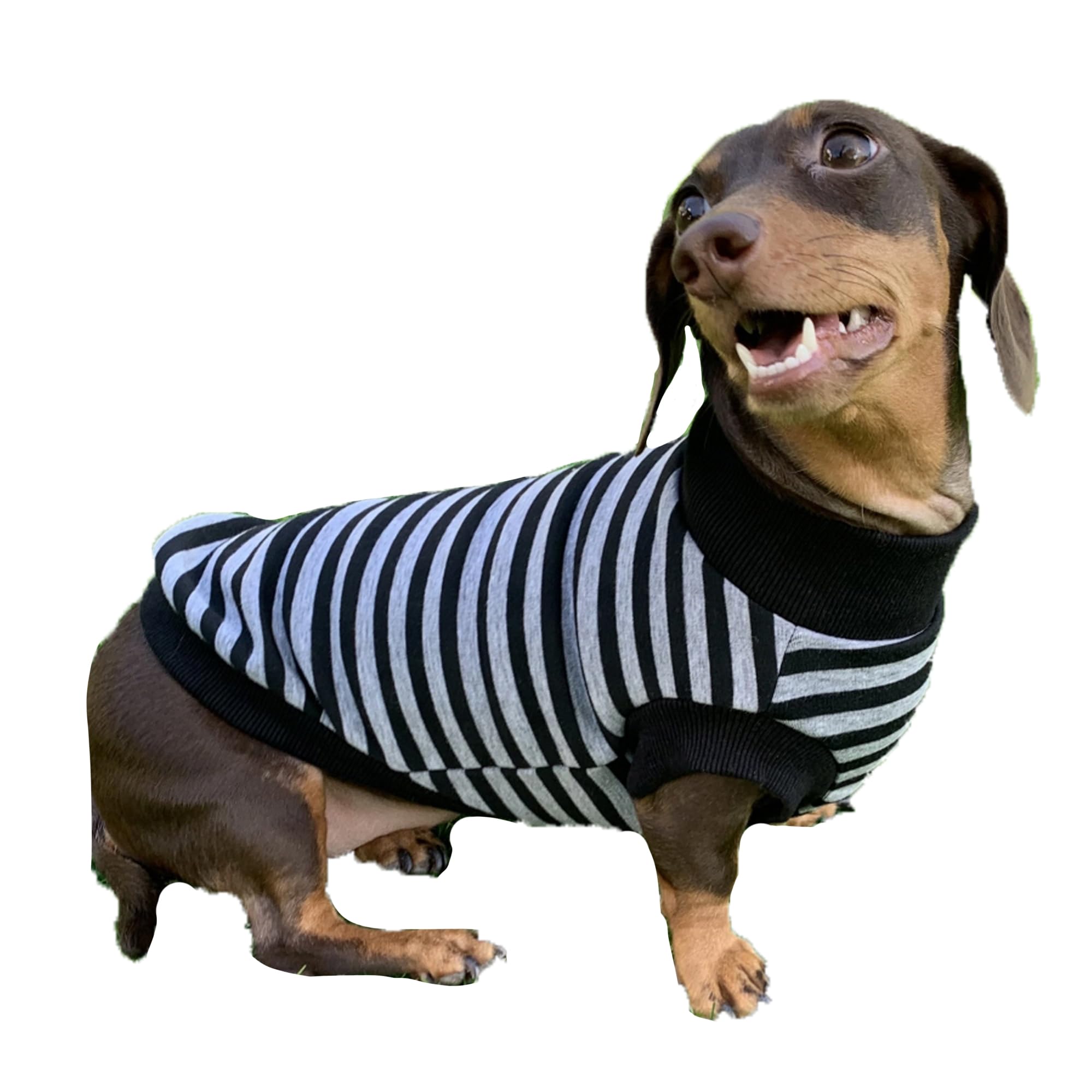 D Doggy Star Dachshund Sweater For Dogs Lining Napping Stripe T Shirts (Xl,Black/Grey)