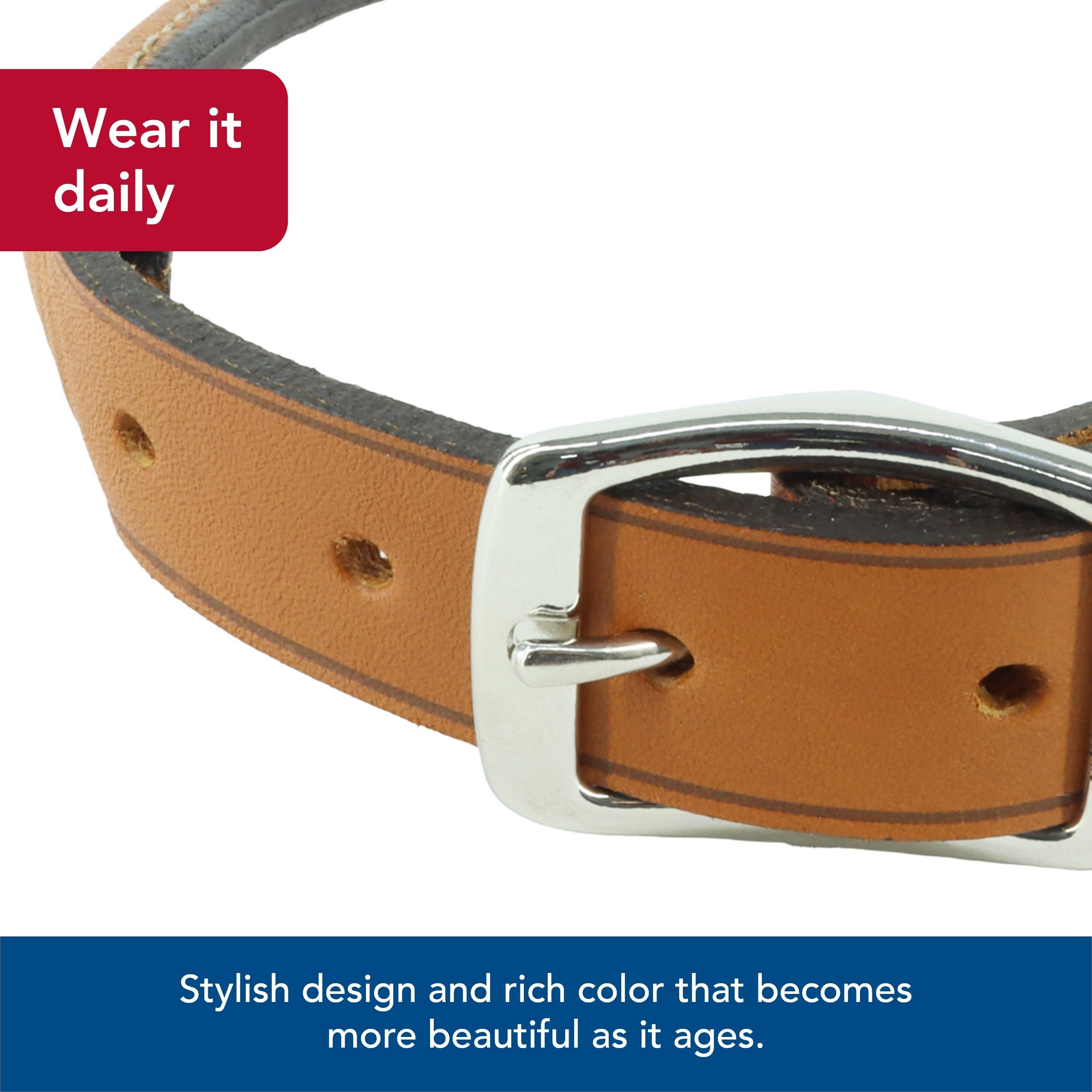 Coastal Pet - Circle T Oak Tanned Leather Round Dog Collar - Comfortable Dog Collar For Pets With Long Hair Or Sensitive Skin - Pet Collar Made From Full-Grain Leather - Tan, 3/8' X 12'
