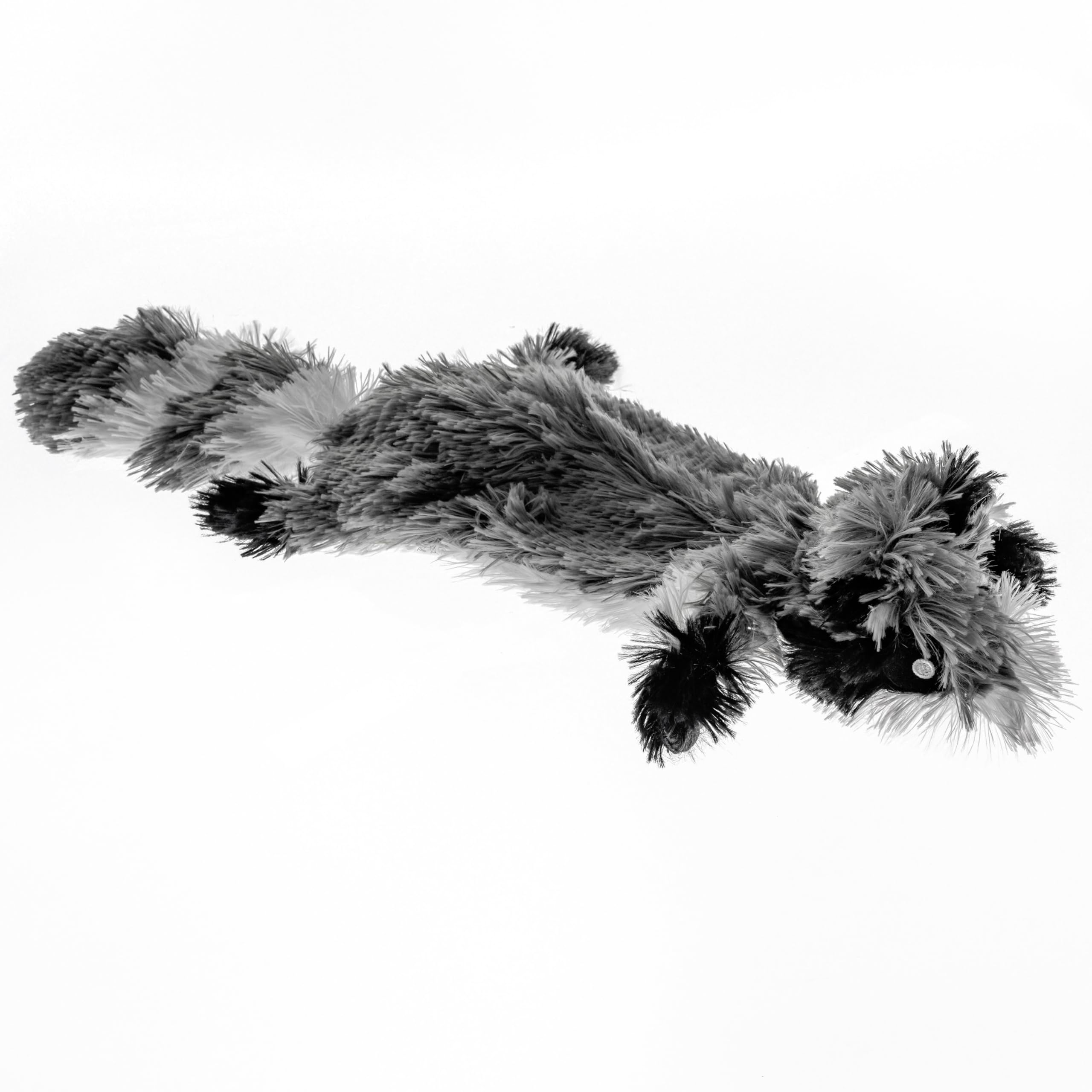 Fga Marketplace Racoon Flat No Stuffing No Squeak Plush Dog Toy, Funny Style Will Entertain Your Pet For Hours, Recommended For