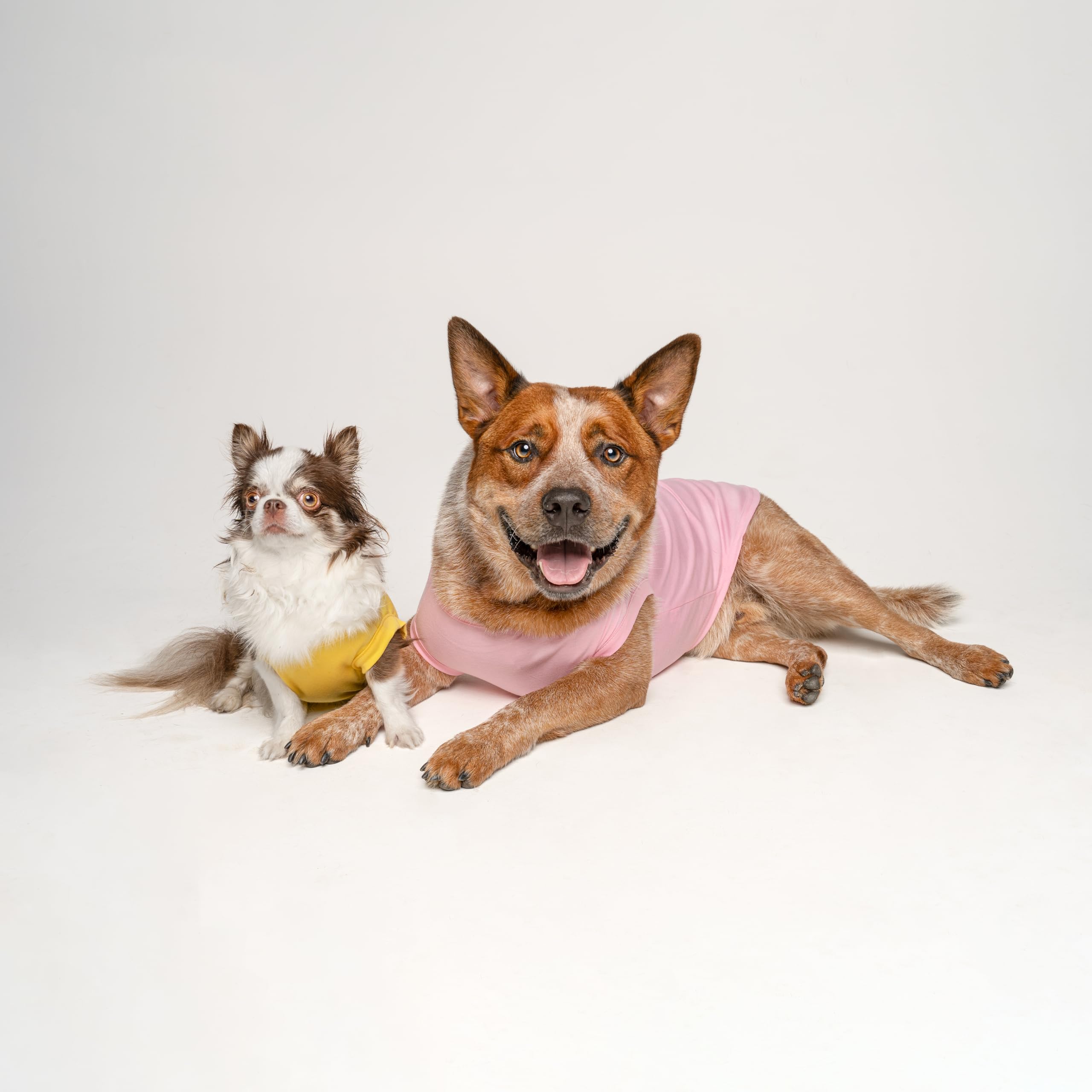 Love My Grandma Valentine'S Day Dog Tee Shirt Sizes For Puppies, Toys, And Large Breeds (Hot Pink, 2X-Large 399)