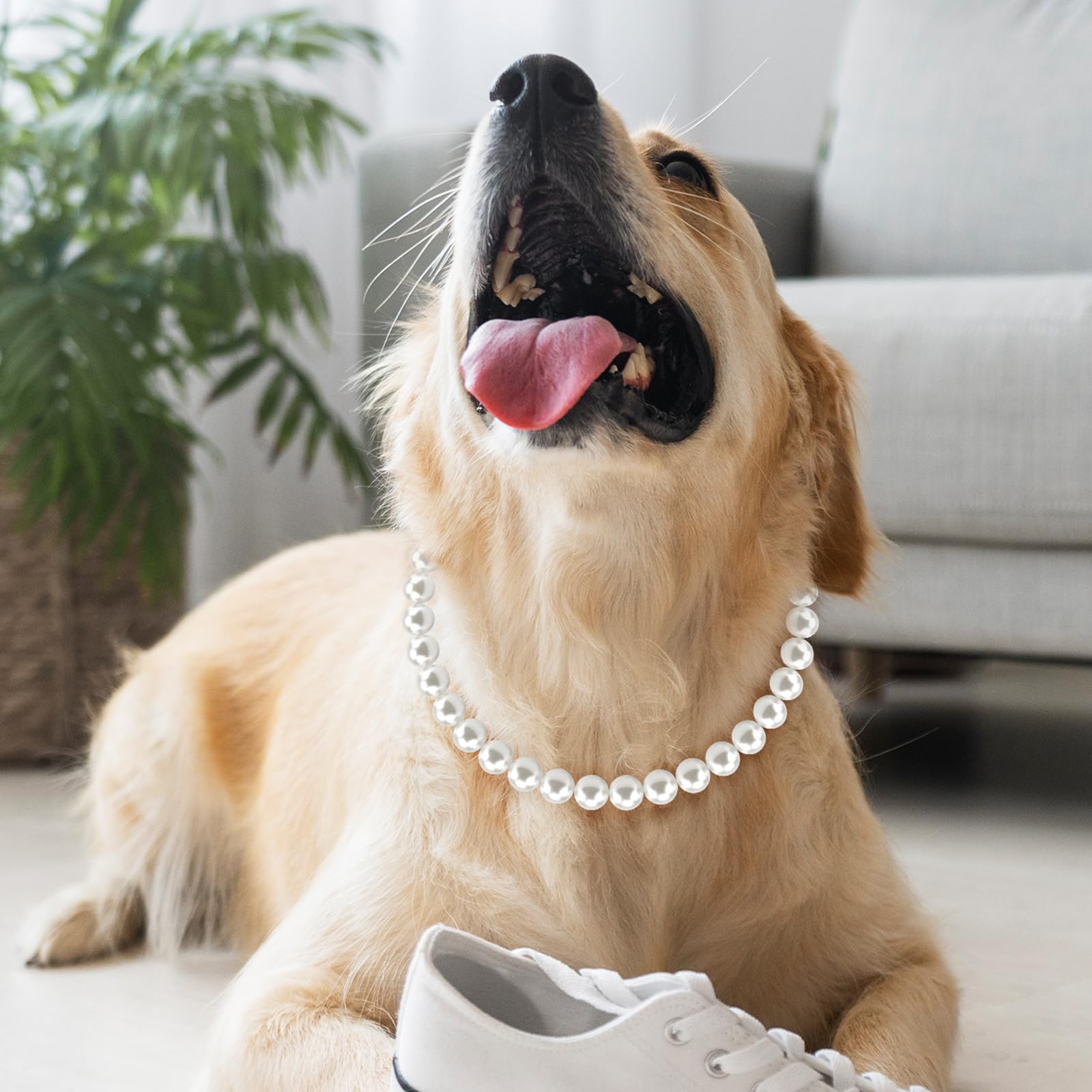 Chunky Pearl Dog Necklace (Beads 19Mm) With Strong Stainless Steel Wire Rope, Elegant Adjustable Pearl Collar Jewellery Accessor