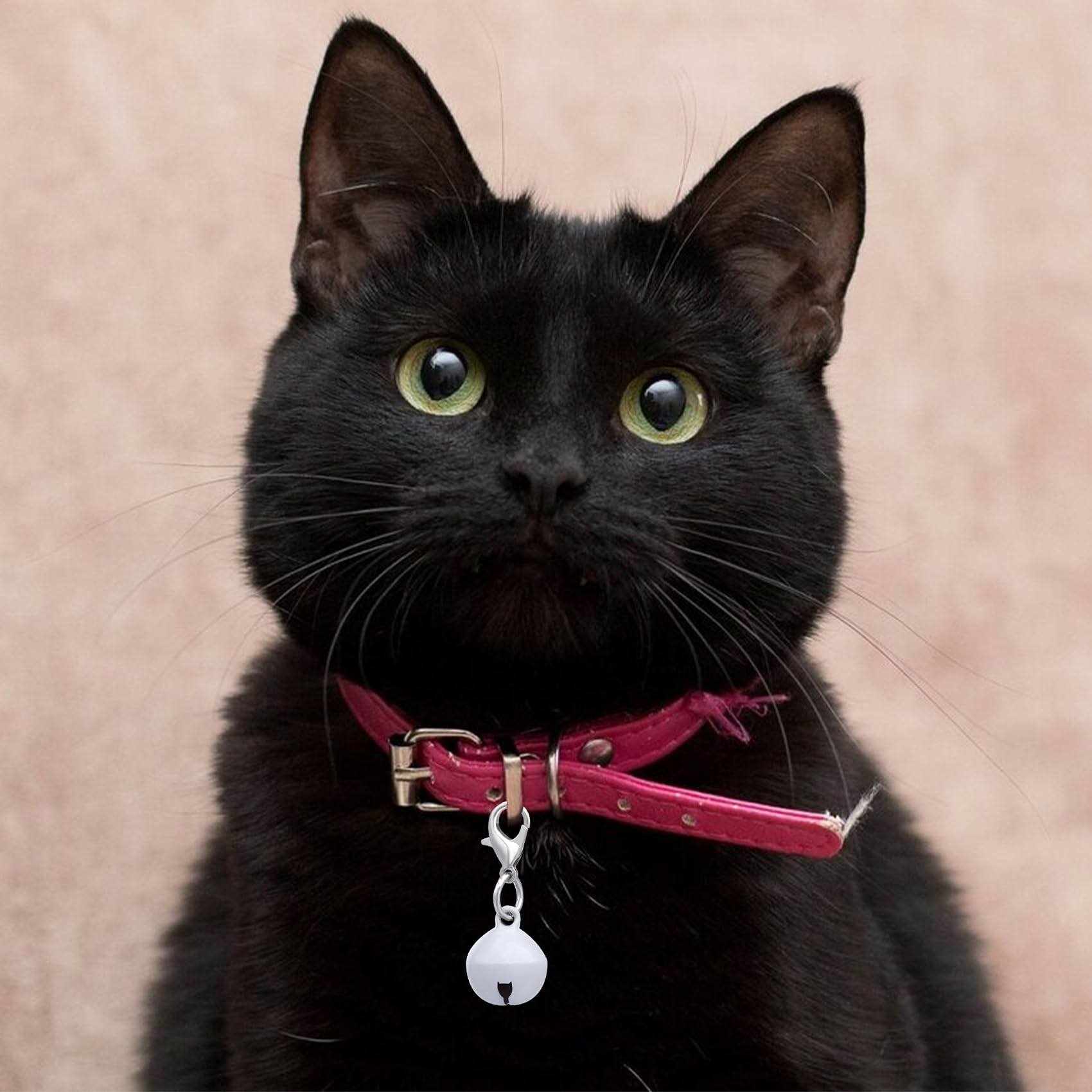 Smallcat 12 Pcs Pet Bells For Cat Dog, Multicolor Round Bell For Dog Collar, Metal Dog Collar Bell, Cat Bells With Loud Crisp Fo