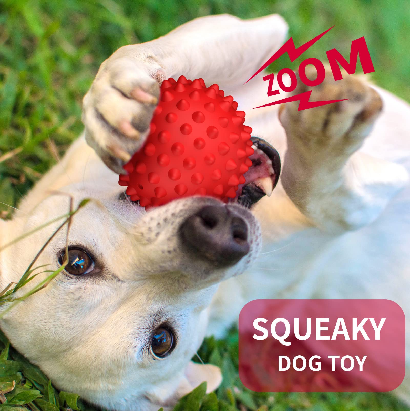 Apasiri Dog Balls Squeaky Dog Toys For Large Dogs, Dog Toys For Aggressive Chewers, Tough Spiky Dog Ball, Floatable Rubber Pet T