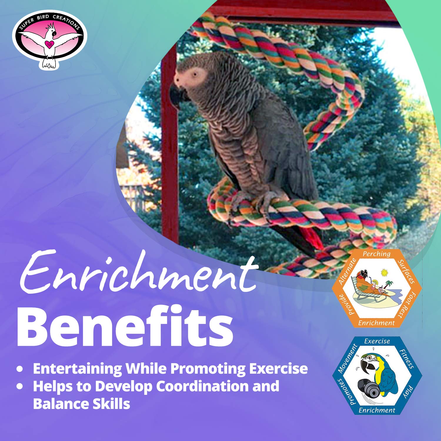 Super Bird Creations Sb325 Large Bungee Bird Toy - Rope Perch For African Greys, Parrots, Small Cockatoos, Amazons - Colorful Ha