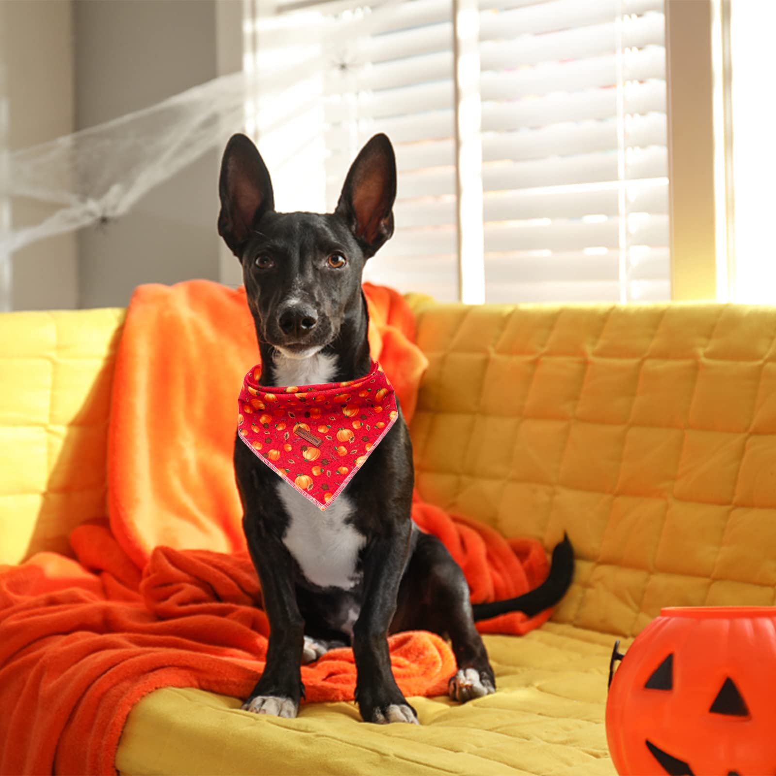 Elegant Little Tail Dog Bandana, Halloween Pumpkin Girl Boy Dog Bandanas For Small Medium Large Dogs Washable Square Dog Scarf Adjustable Dog Kerchief
