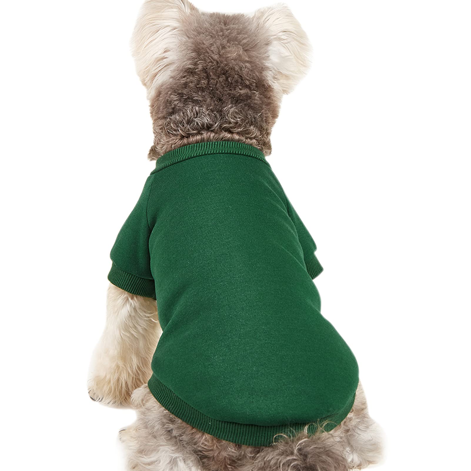 Jouhoi Puppy Sweater For Small Dogs Clothes Warm Winter Cat Clothe Pet Sweatshirt Knitwear Doggie Kitten Clothing, Green, Xx-Sma