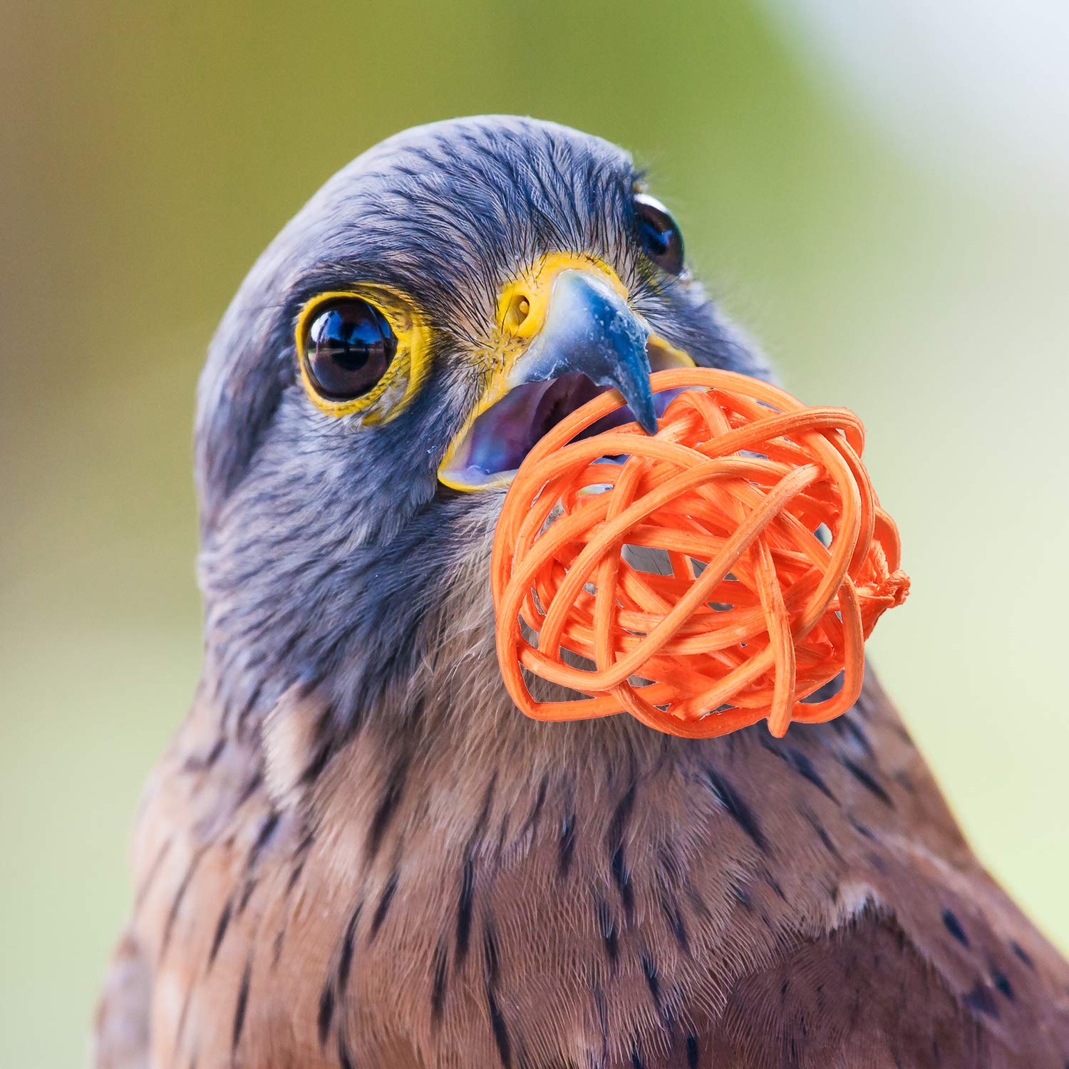 Sumind 80 Pieces Parrot Toy Wooden Blocks Bird Chewing Toys Mini Wood Chips Small Parrot Cage Accessories For Diy Playing Chewin