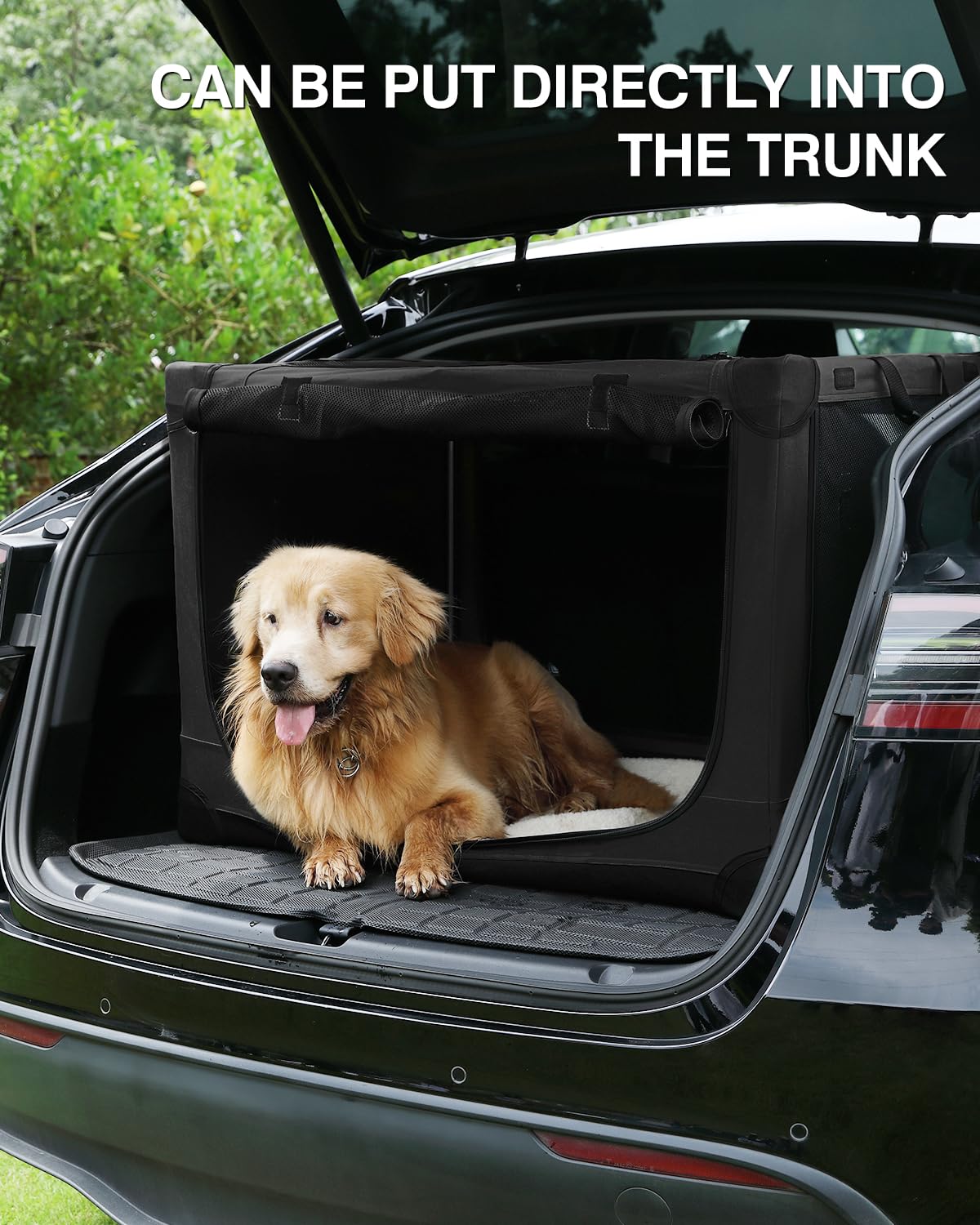 Veraste 30 Inch Collapsible Travel Dog Crate for Medium Large Dogs, Portable Dog Crate 4-Door Foldable Soft Kennel with Chew-Pro