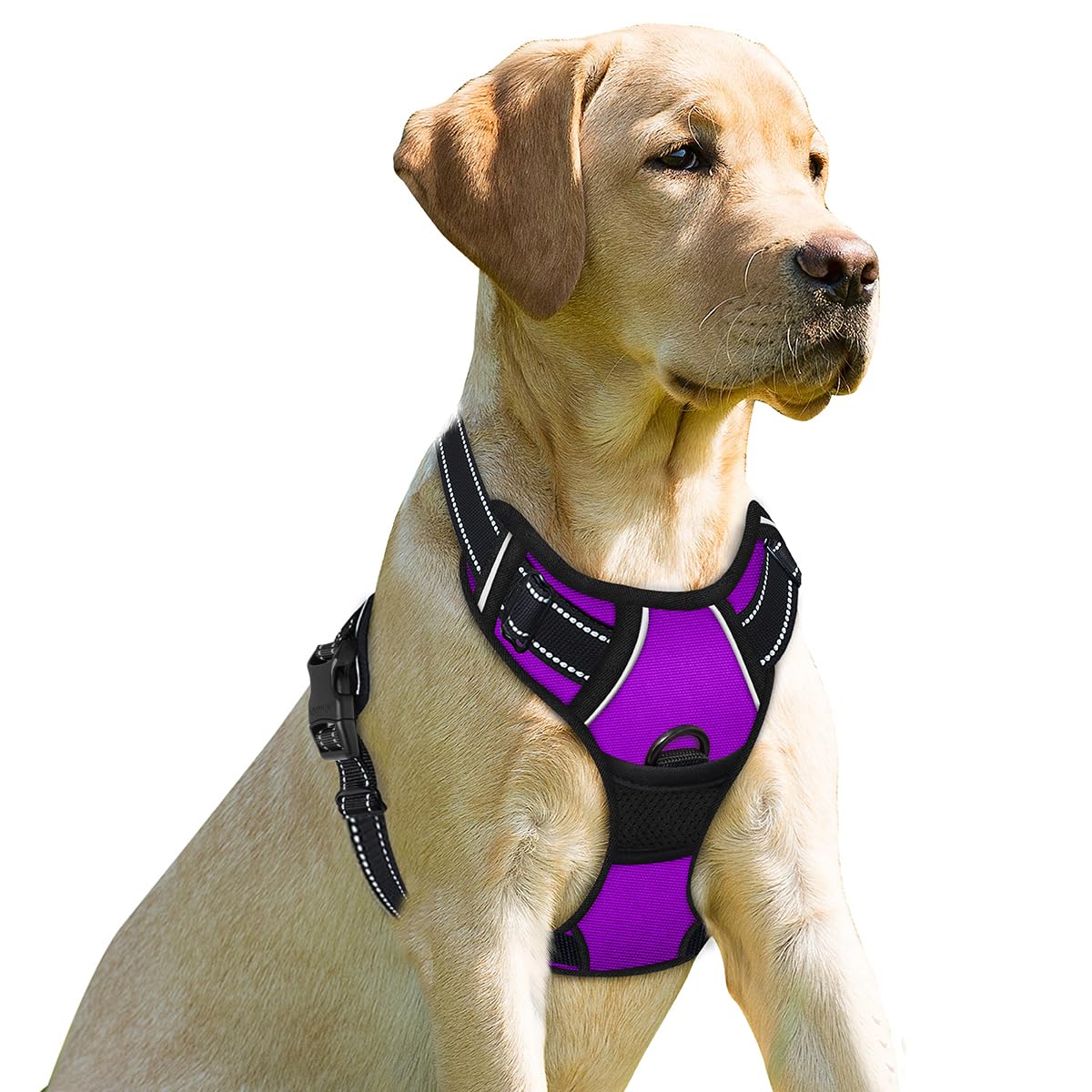 BARKBAY No Pull Dog Harness Front Clip Heavy Duty Reflective Easy Control Handle for Large Dog Walking(Purple,XS)