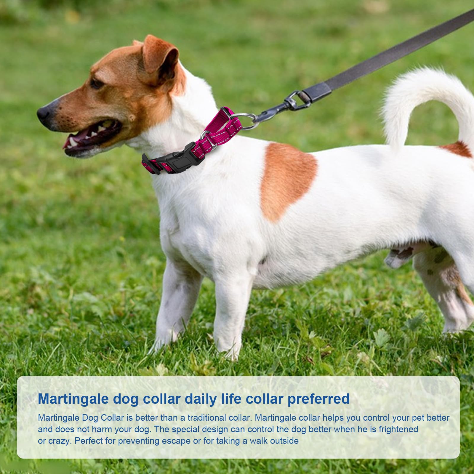 Reflective Martingale Dog Collars. Dog Collar With Quick Release Buckle. Adjustable Soft Padded Breathable Nylon Pet Collar Suit