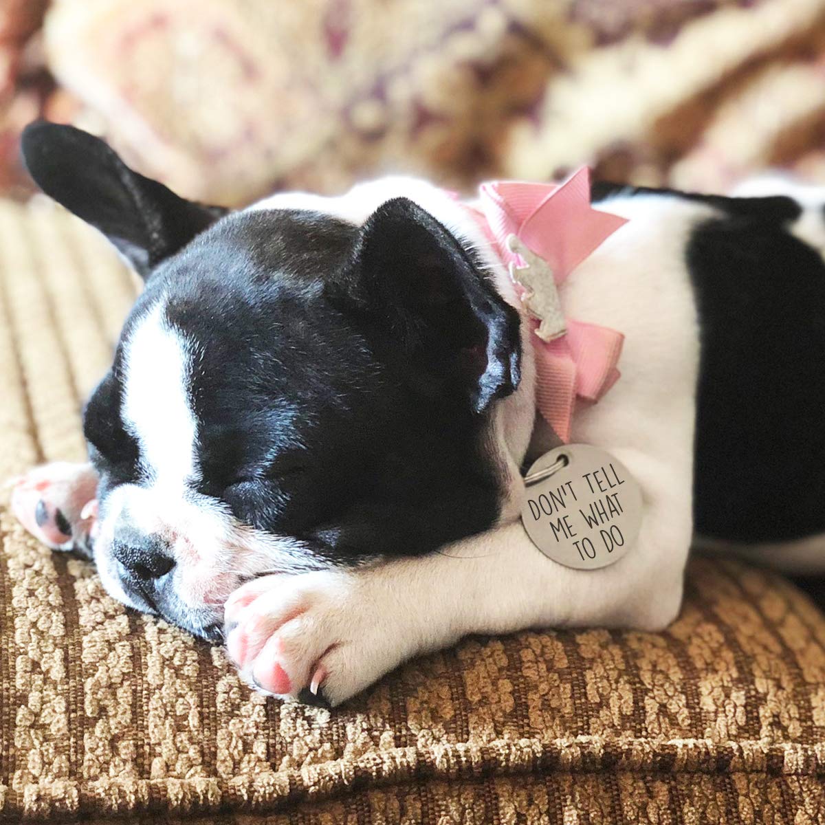 Don'T Tell Me What To Do Personalized Pet Id Tag - 30Mm Double Sided Laser Engraved For Dog Or Cat