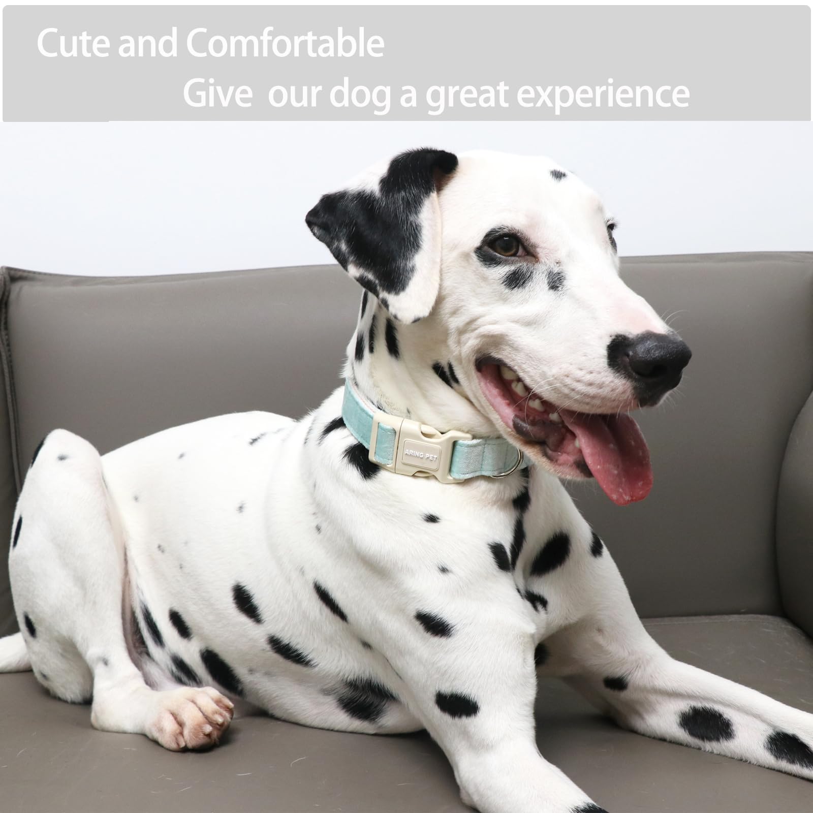 Aring Pet Dog Collar-Cotton Puppy Collar For Small Dogs, Lightweight Comfortable Green Pet Collars With Quick Release Buckle For Small Medium Large Dog