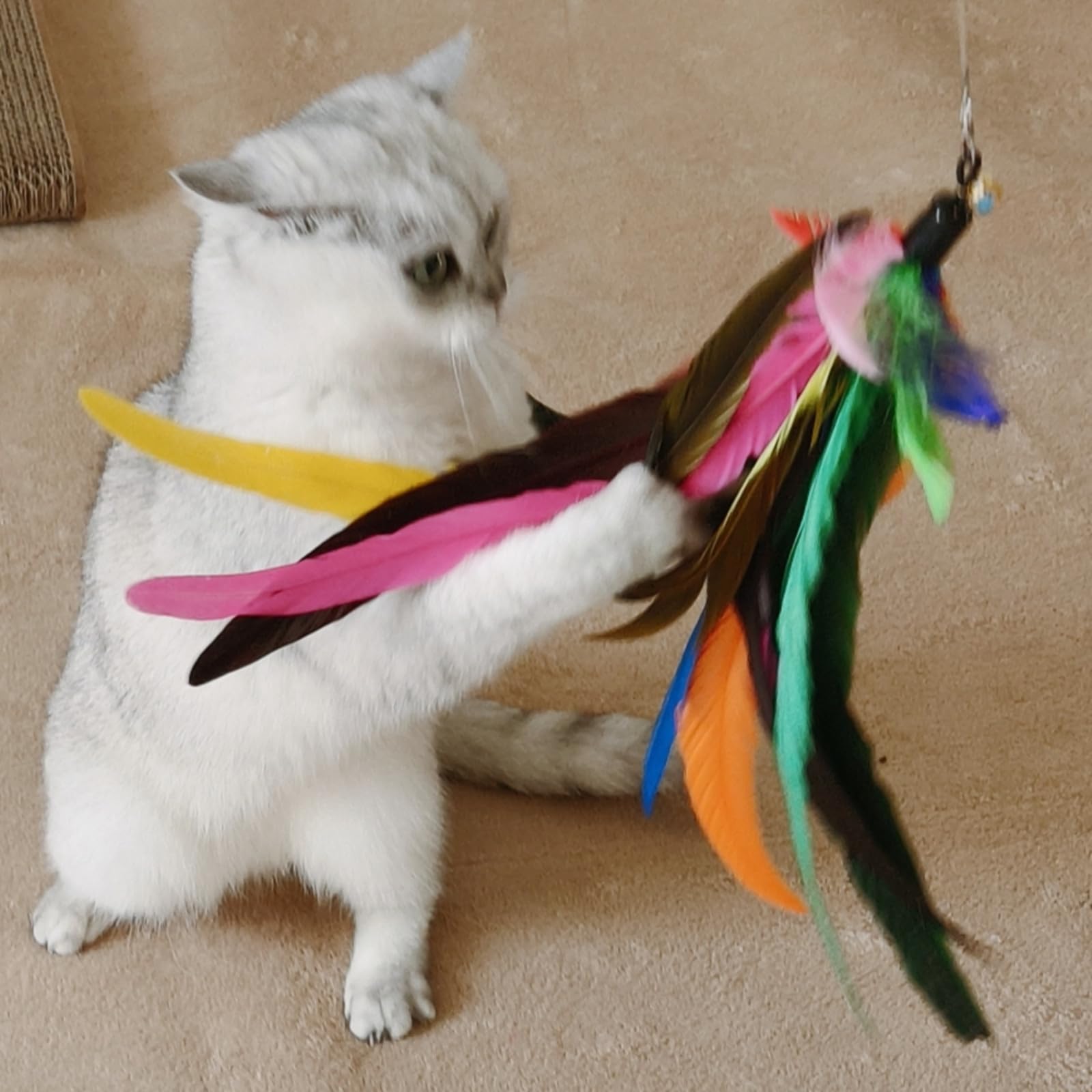 Miwoowim Da Bird Feather Refill - 2 Extra-Large Natural Replacement Attachments(13.8Inch) And 4 Feather Toys Refills(5.8Inch) Fo