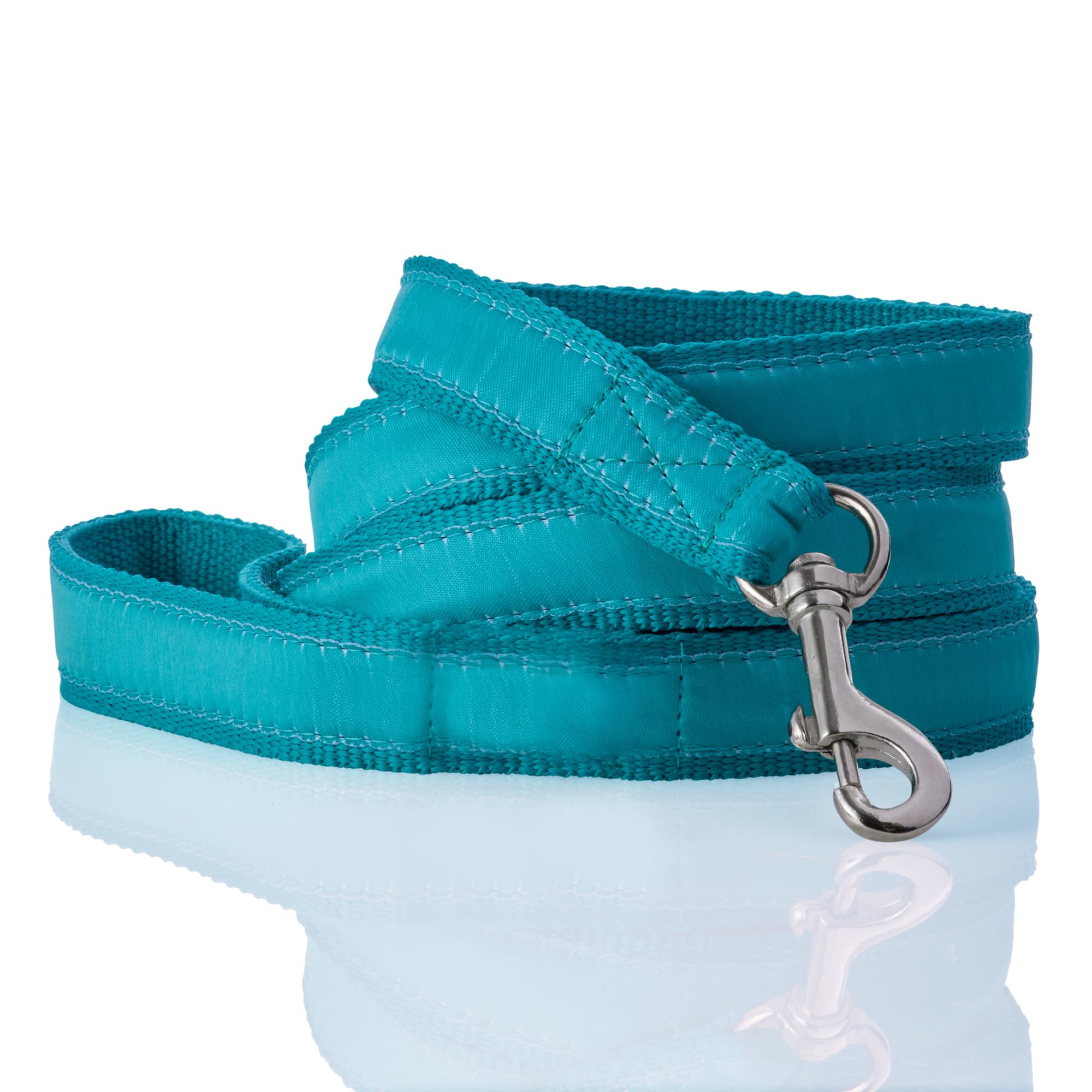Pet Passion Recycled Ribbon Dog Leash 7 Ft. For All Pet Breeds, Turquoise, One Size