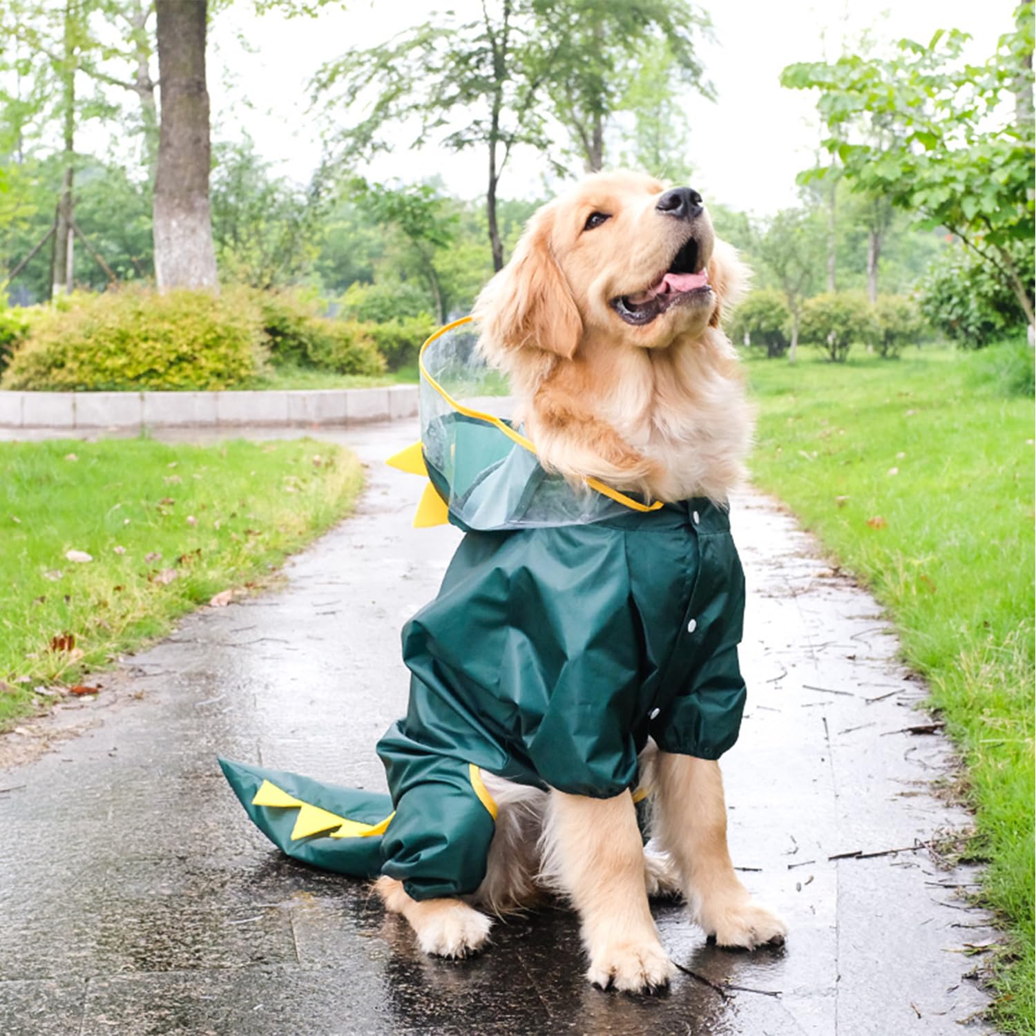 Harikaji Dog Raincoat, Tail Protect Legs Cover Dinosaur Cosplay Raincoat Costume Cute Animals Pattern Raincoat Jacket For Medium