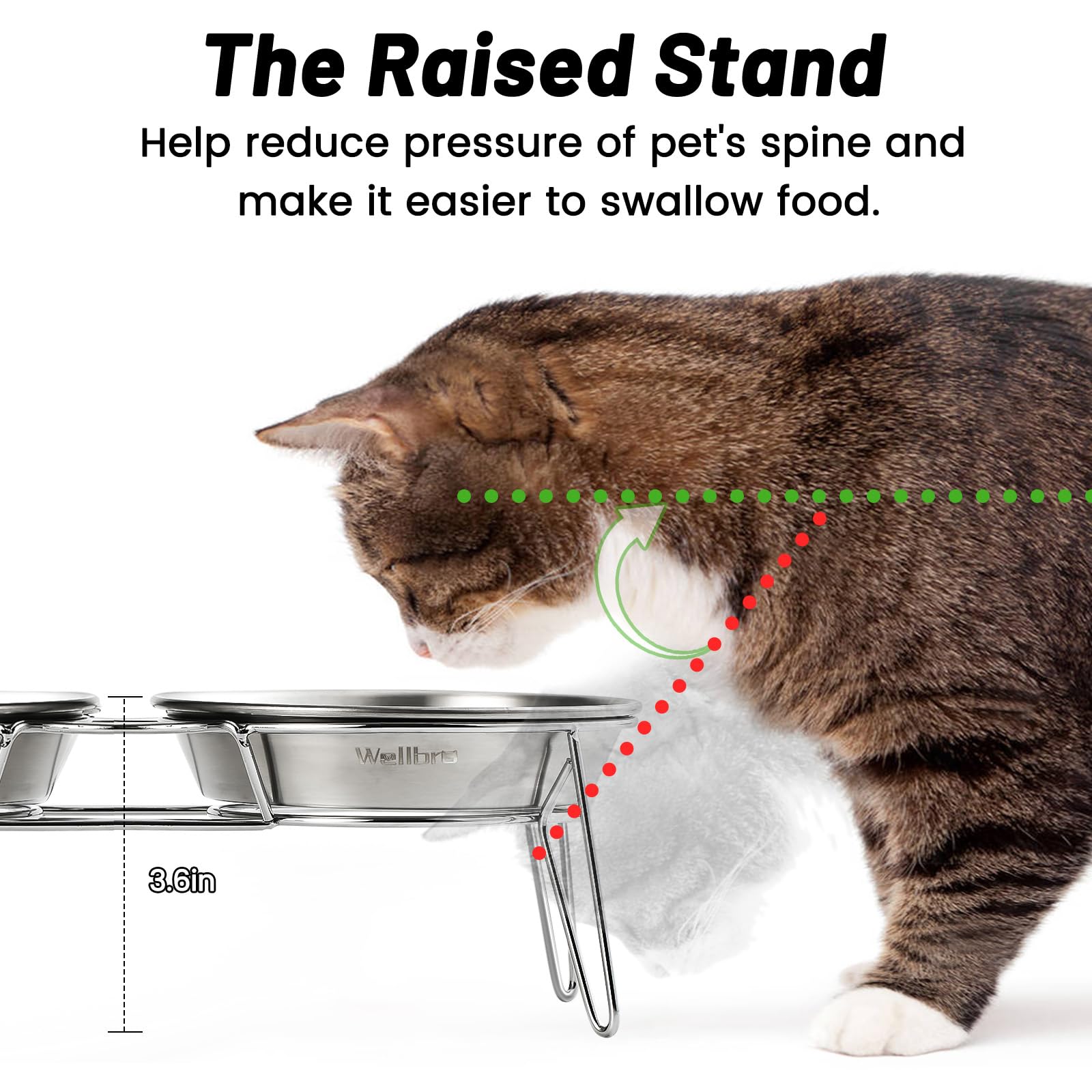 Wellbro Elevated Cat Bowls, 5.9 Inch Wide Stainless Steel Cat Food Bowls with Metal Stand Whisker Stress-Free, Raised Food and W